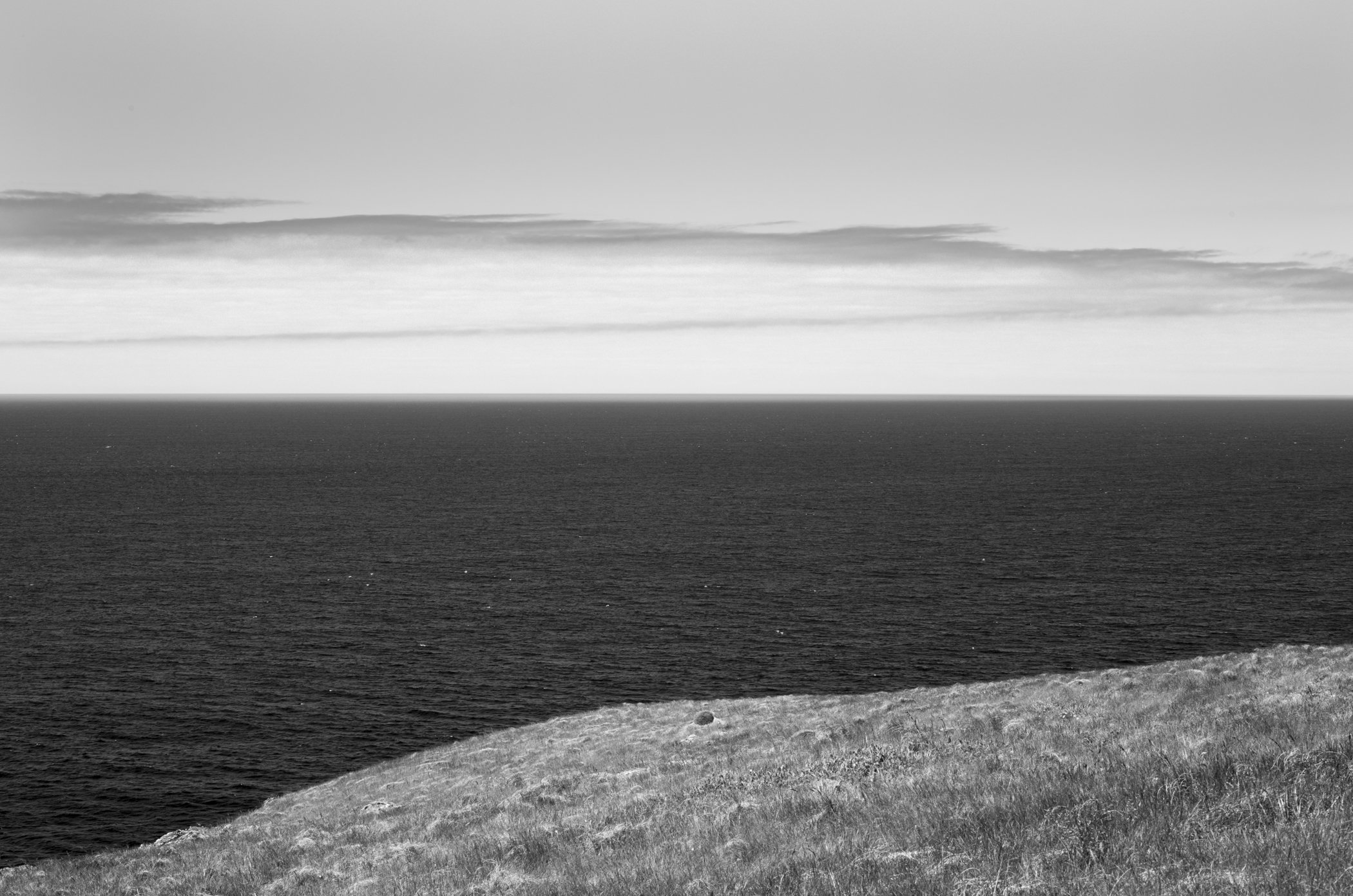 DSC_8371.jpg