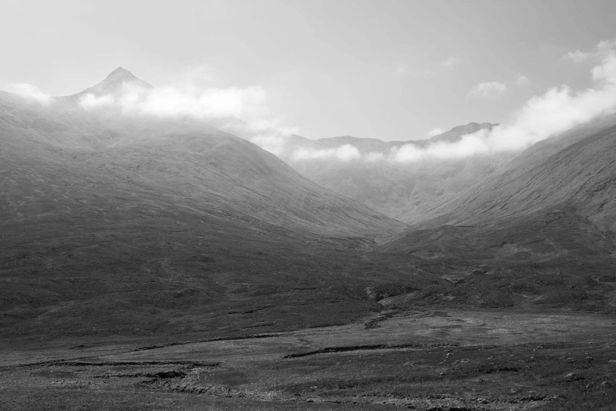 DSC_8013.jpg