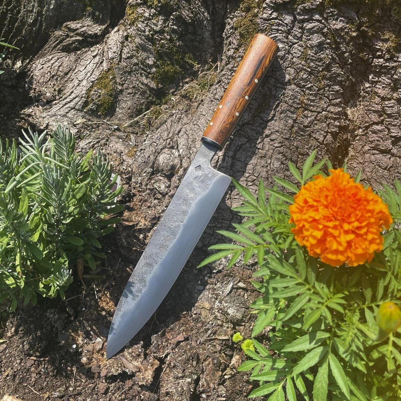 8" chef (bocote frame handle)