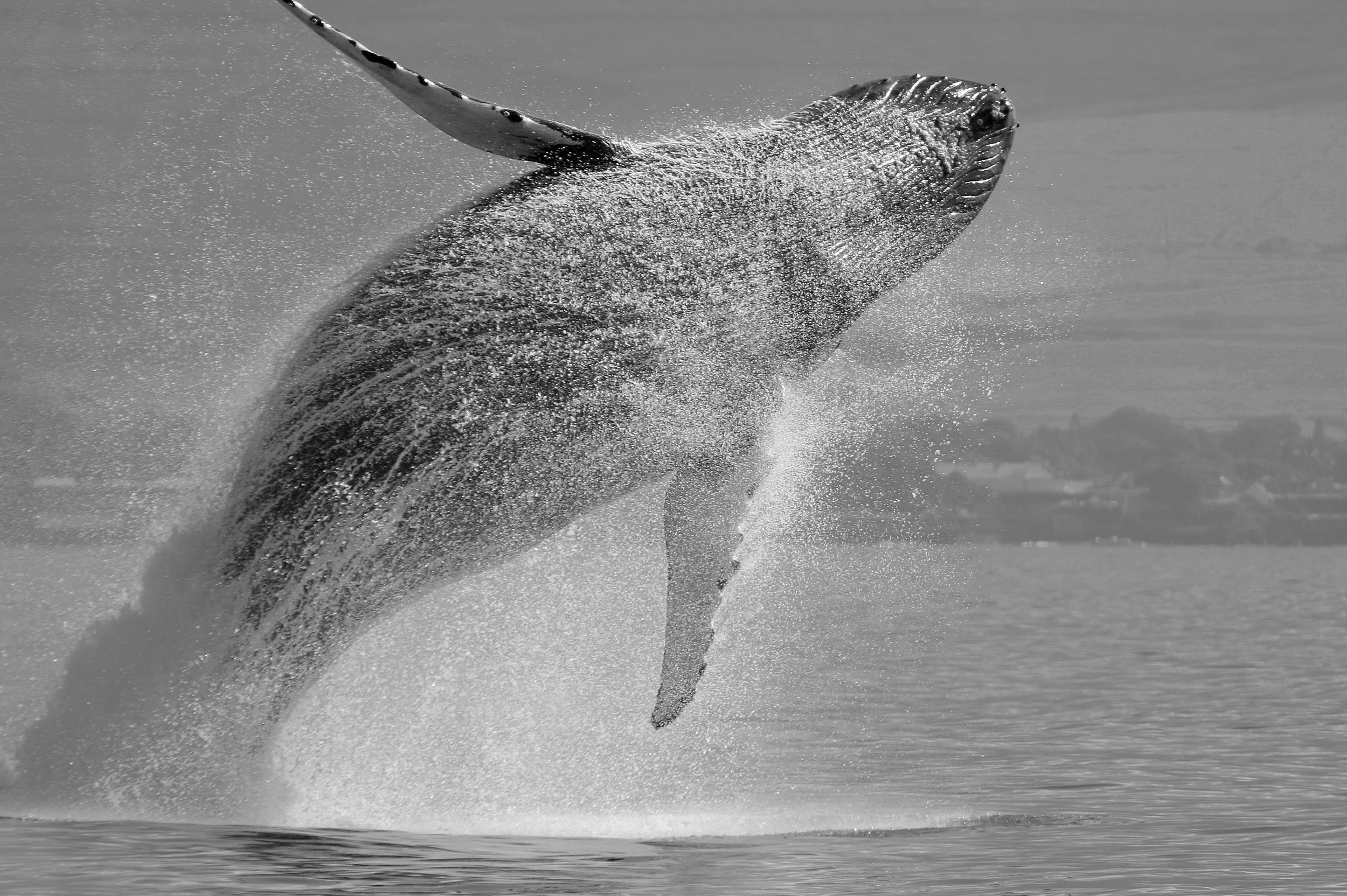 How to Get Showstopping Creative From Your Agency