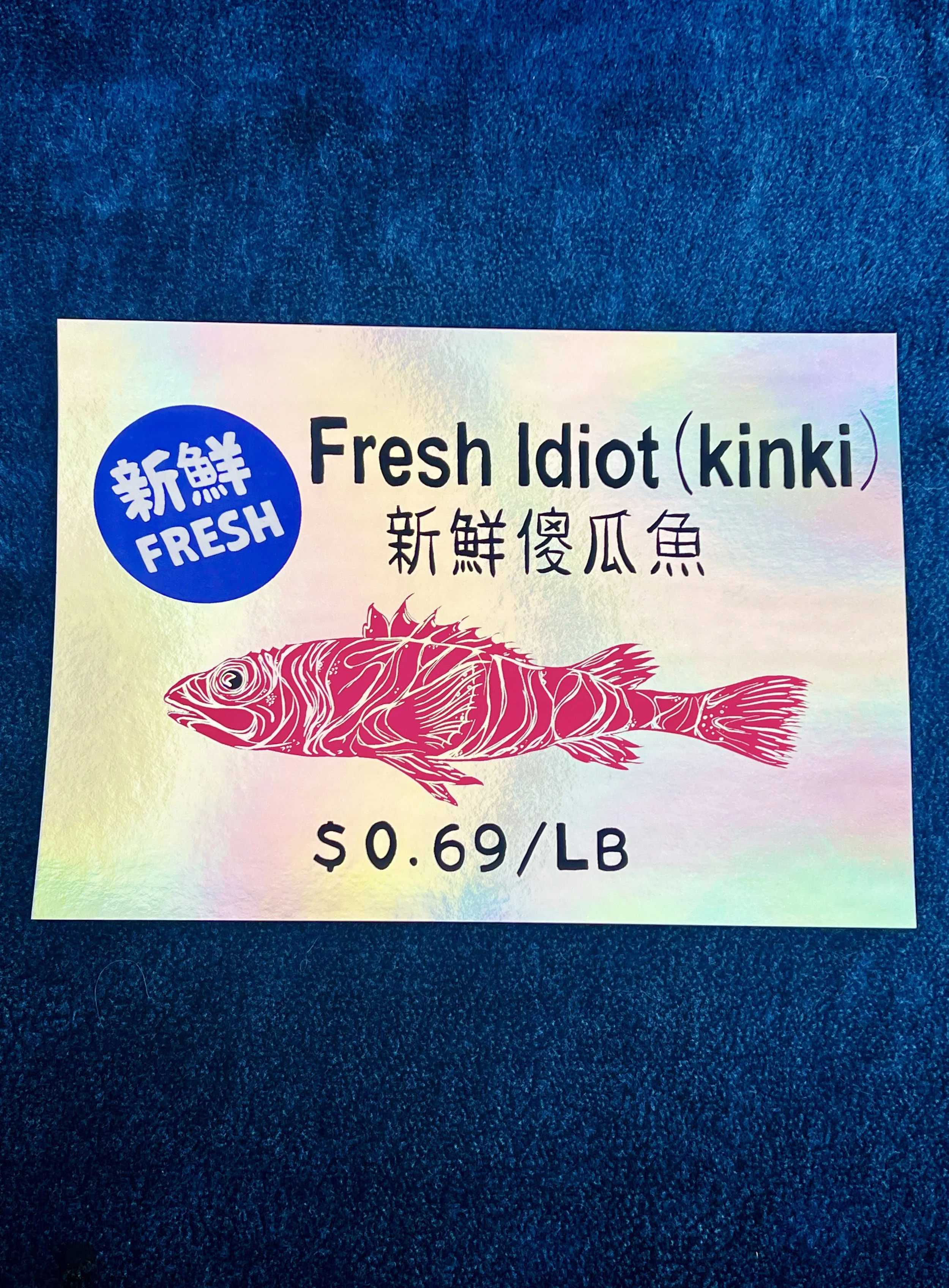 idiot fish website 1.jpg