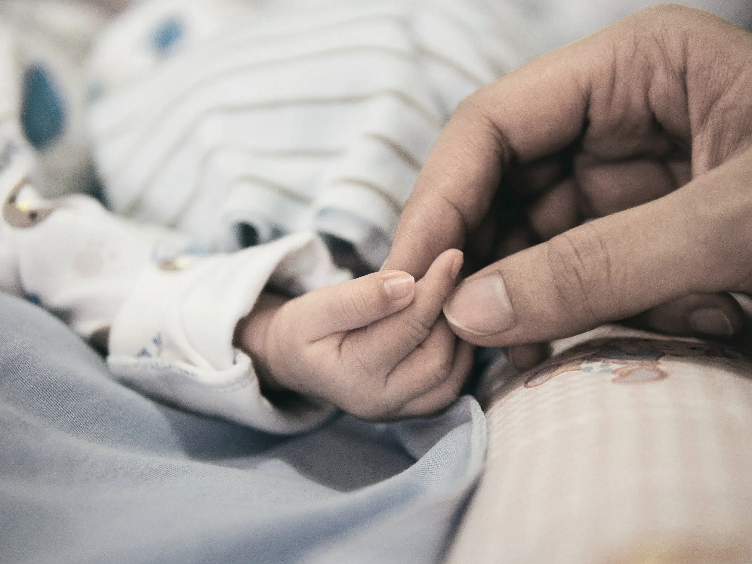 Close-up of an adult hand holding a small baby's hand.