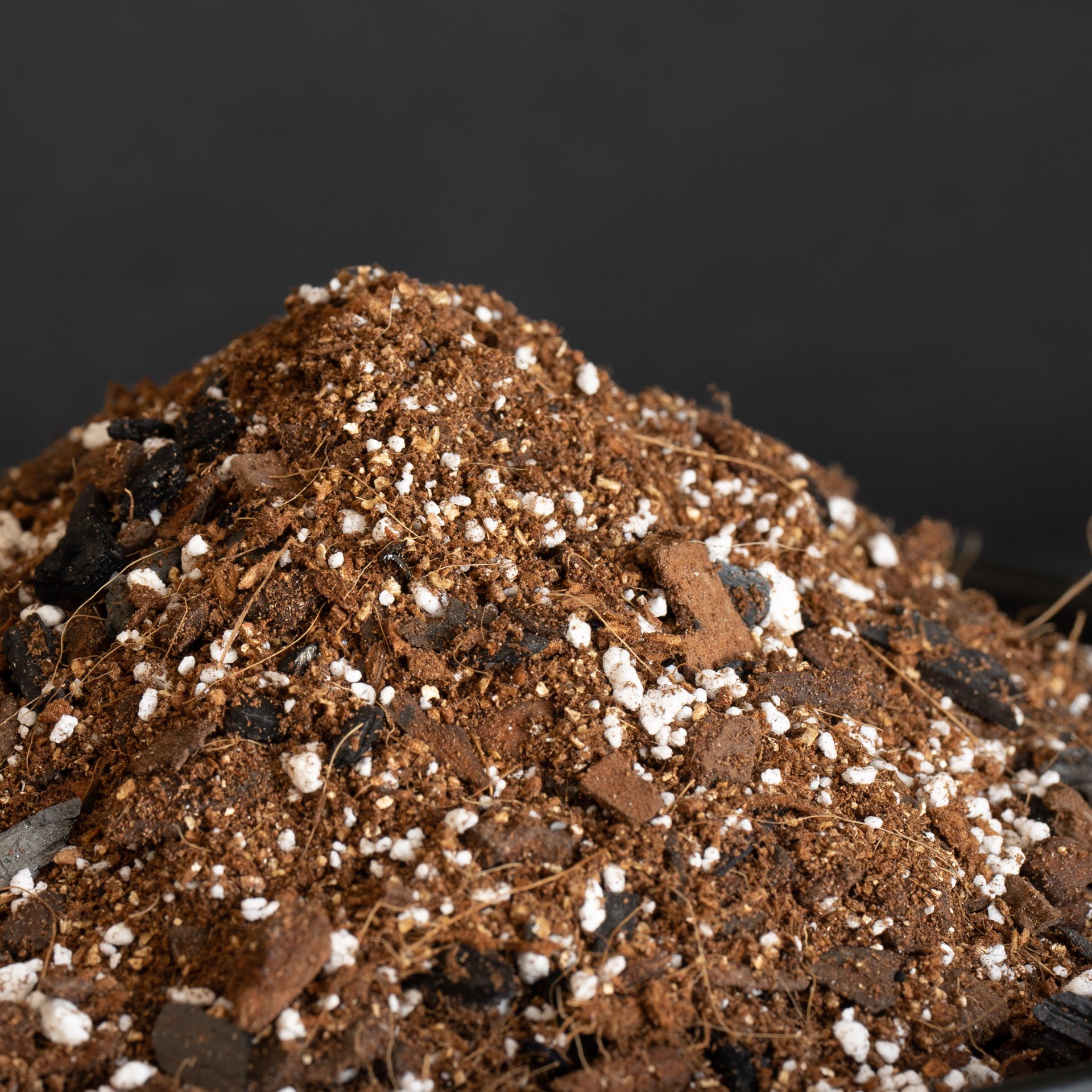 03172023 Dirtlings-00377-2.jpg