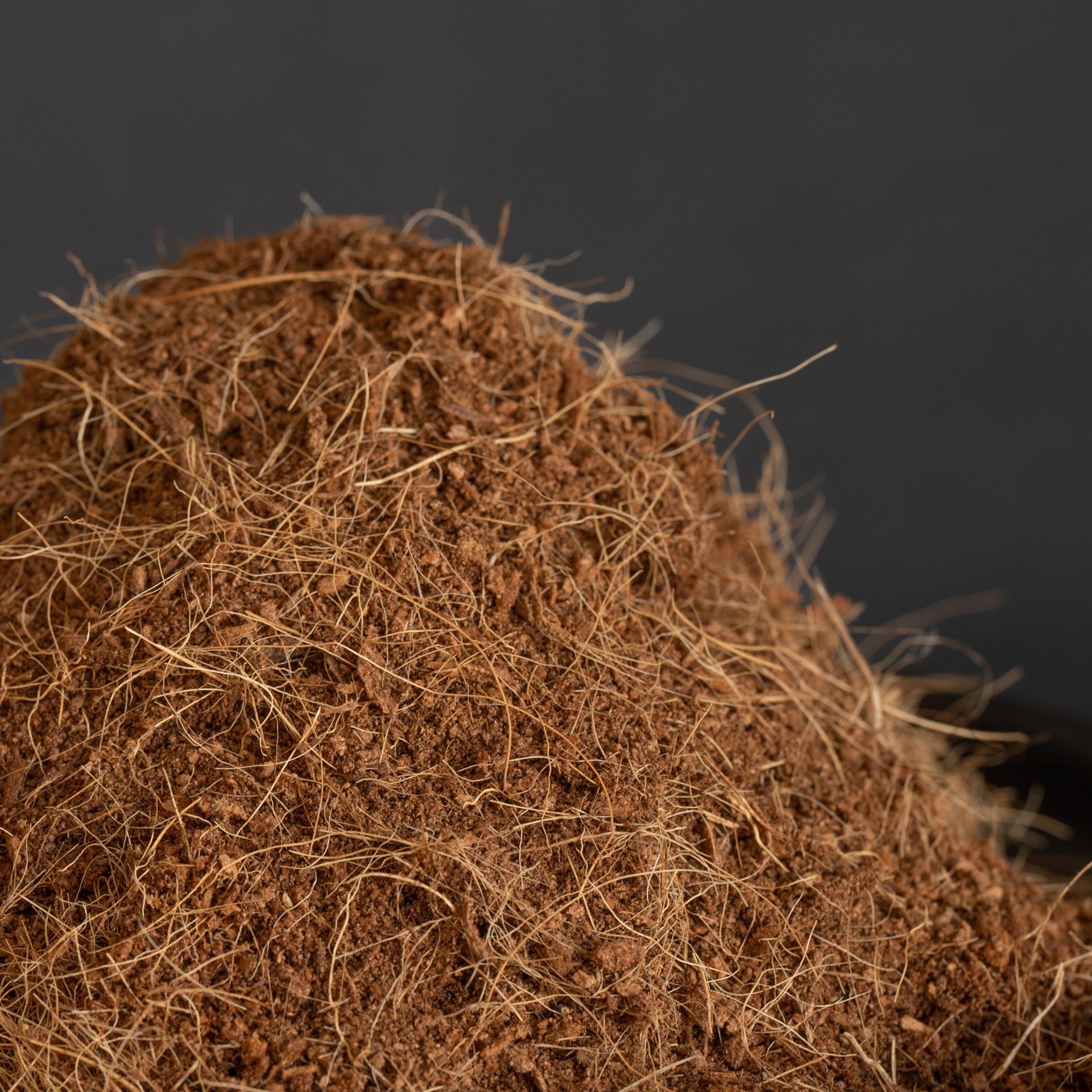 03172023 Dirtlings-00368-2.jpg