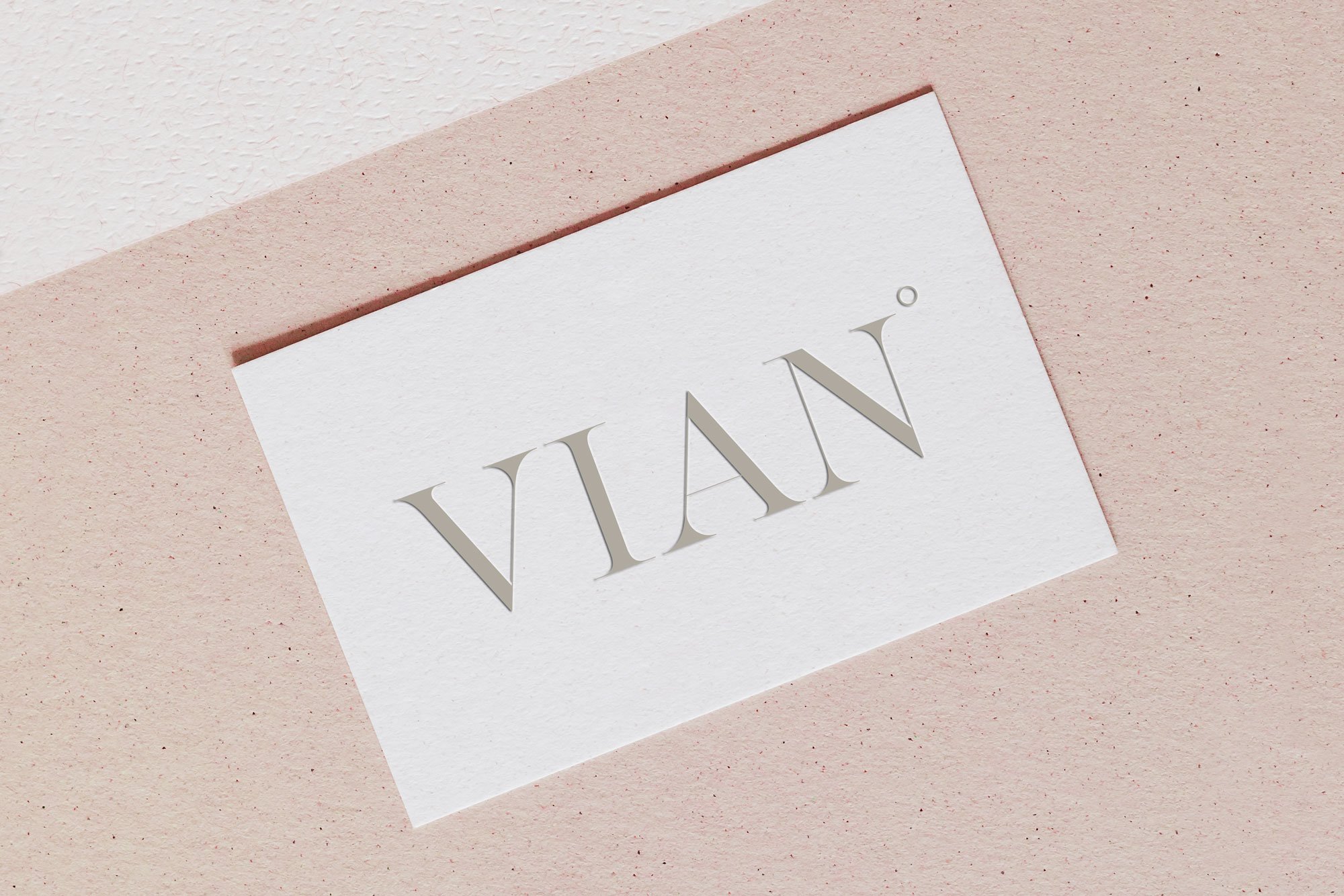 vian-bc-mockup.jpg