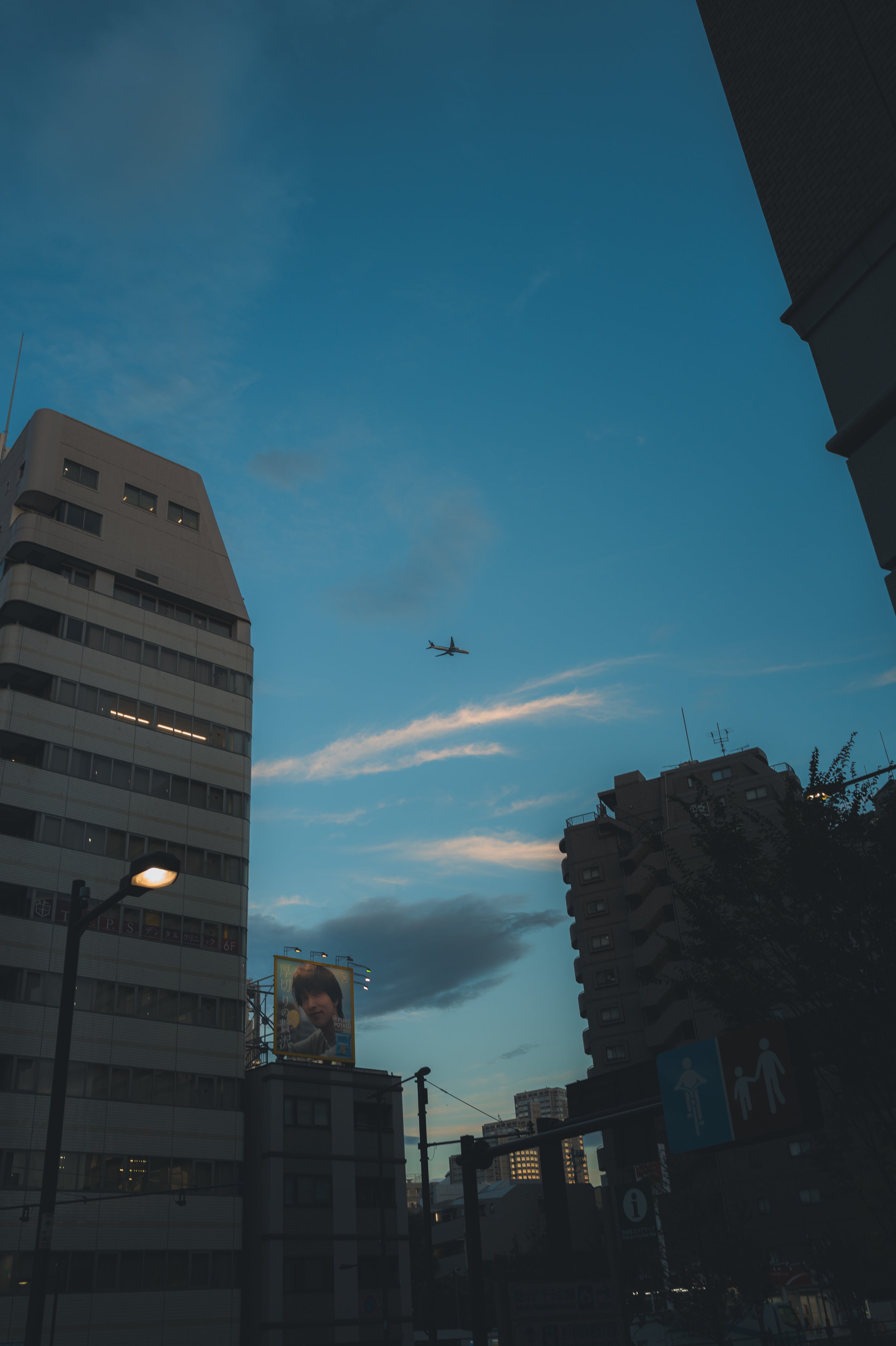 L1010335.jpg