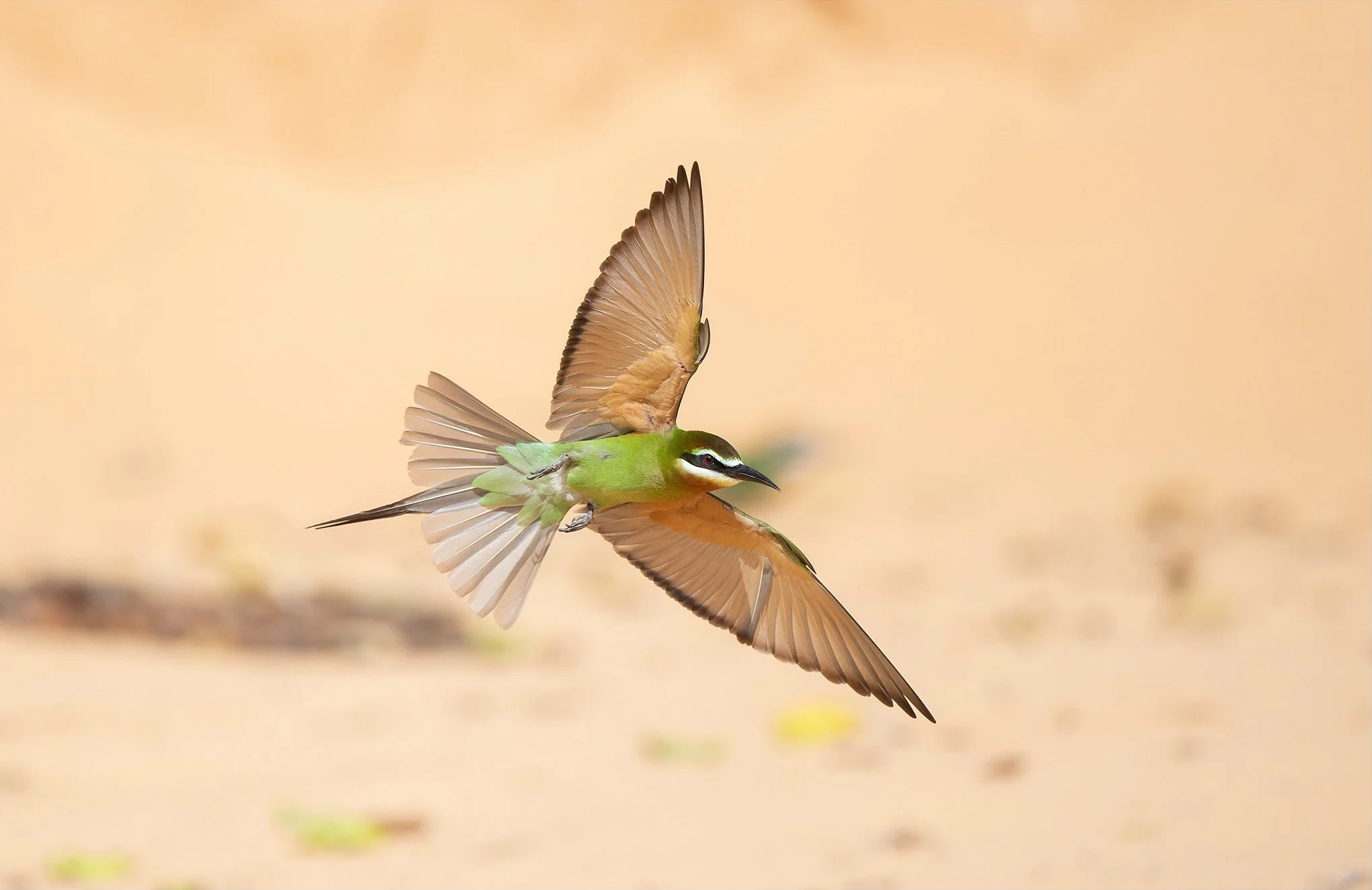 Mozambique - September 2026 - Fully Booked