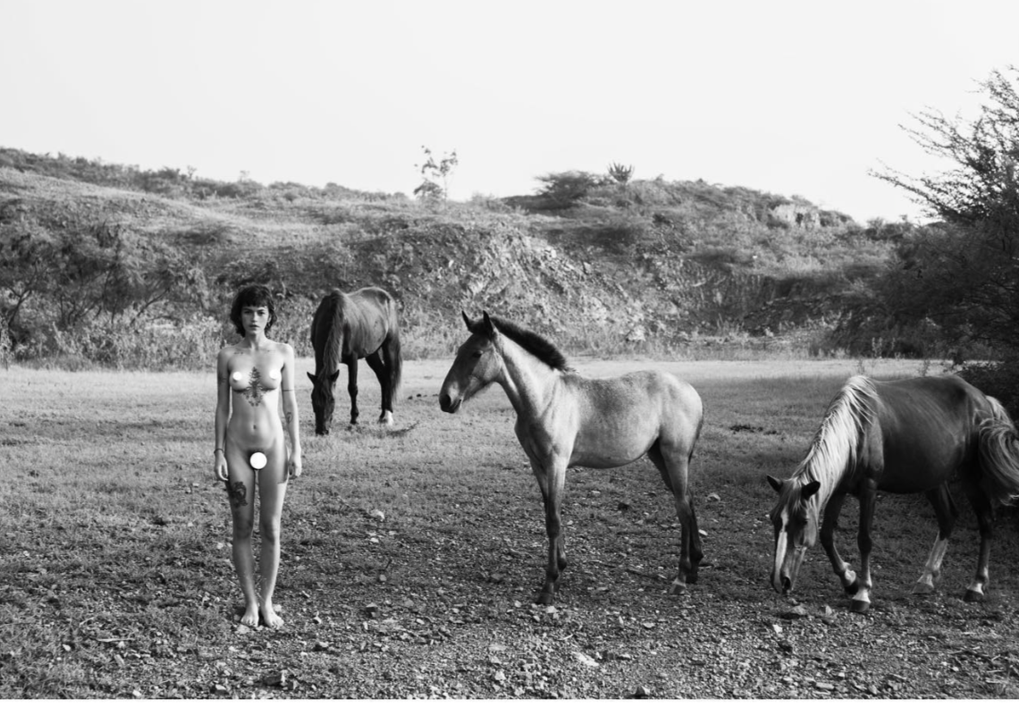 Animales. Admira Rojas Santana. 16x24". Photograph, 2021.