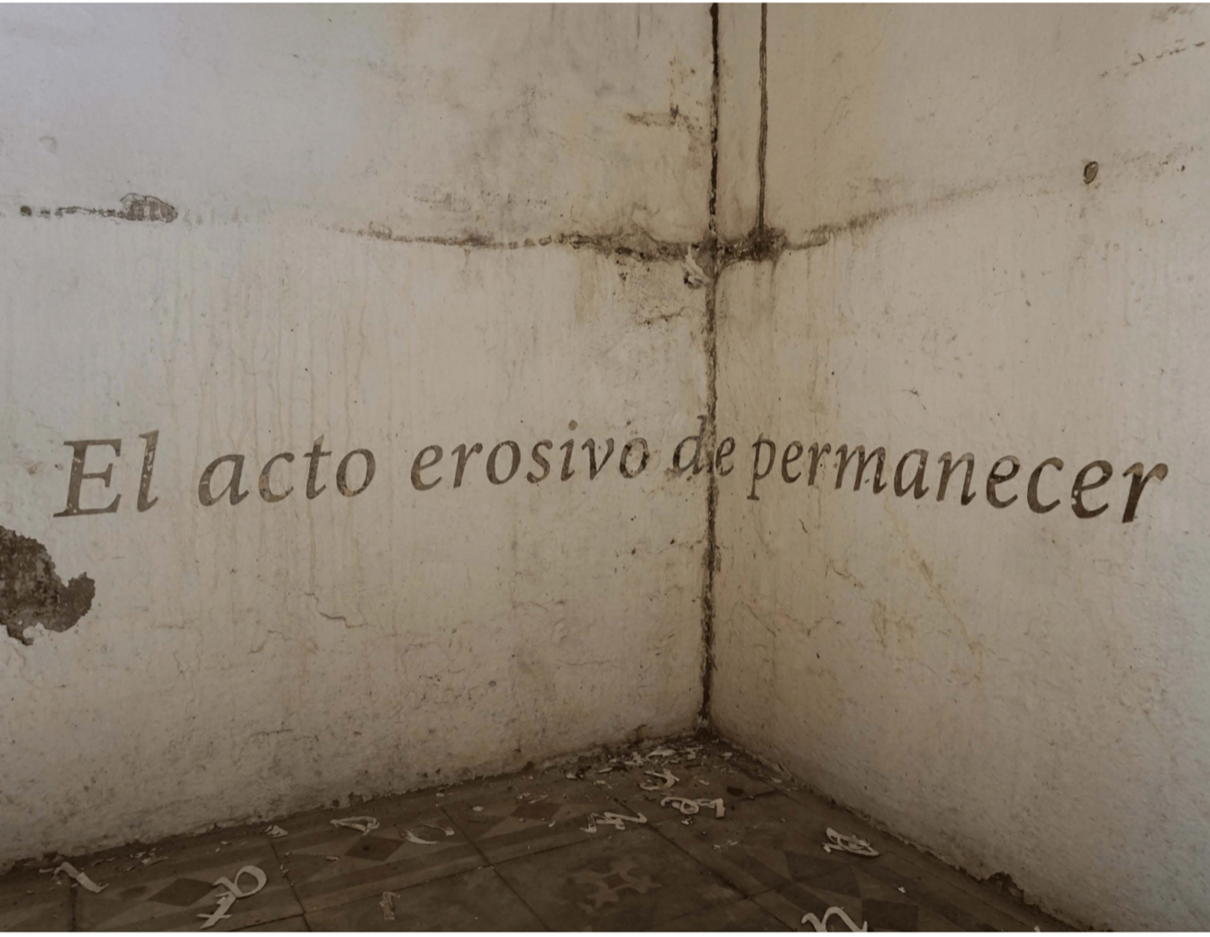 El acto erosivo de permanecer. Mariana Ramos Ortiz. 16x24". Photograph, 2024.