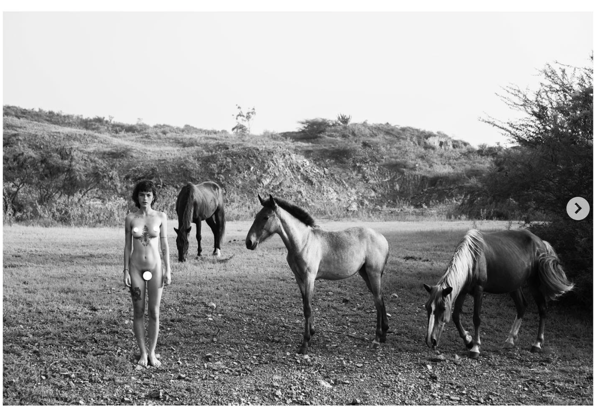 Animales. Admira Rojas Santana. 16x24". Photograph, 2021.