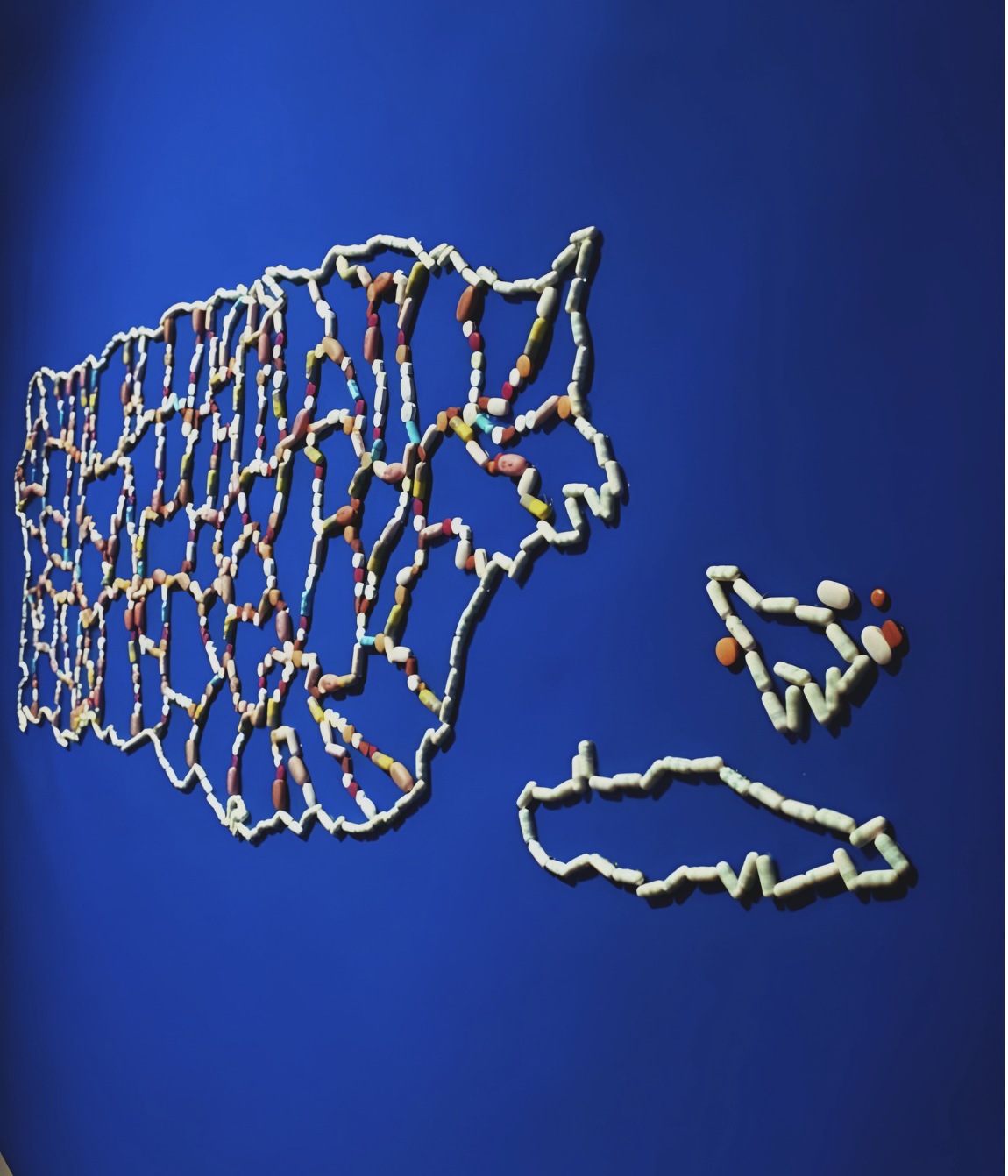 Screenshot 2026-01-18 at 11.48.39 AM.png