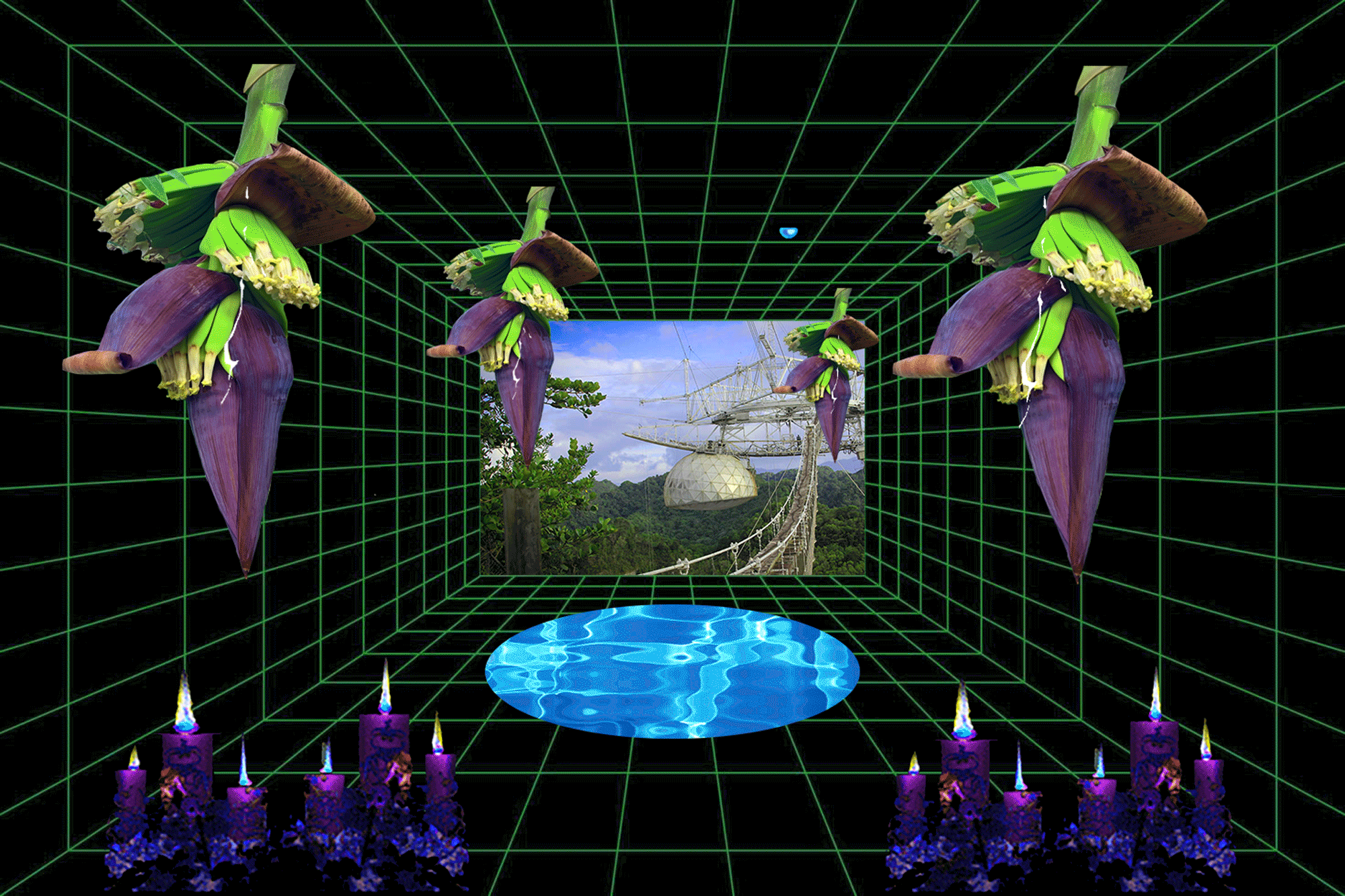 Grid-Banana-Flower-Room-Test-2.gif