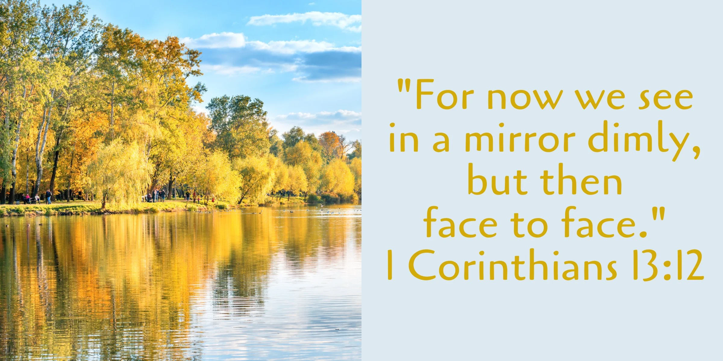 The Beauty Of Reflection