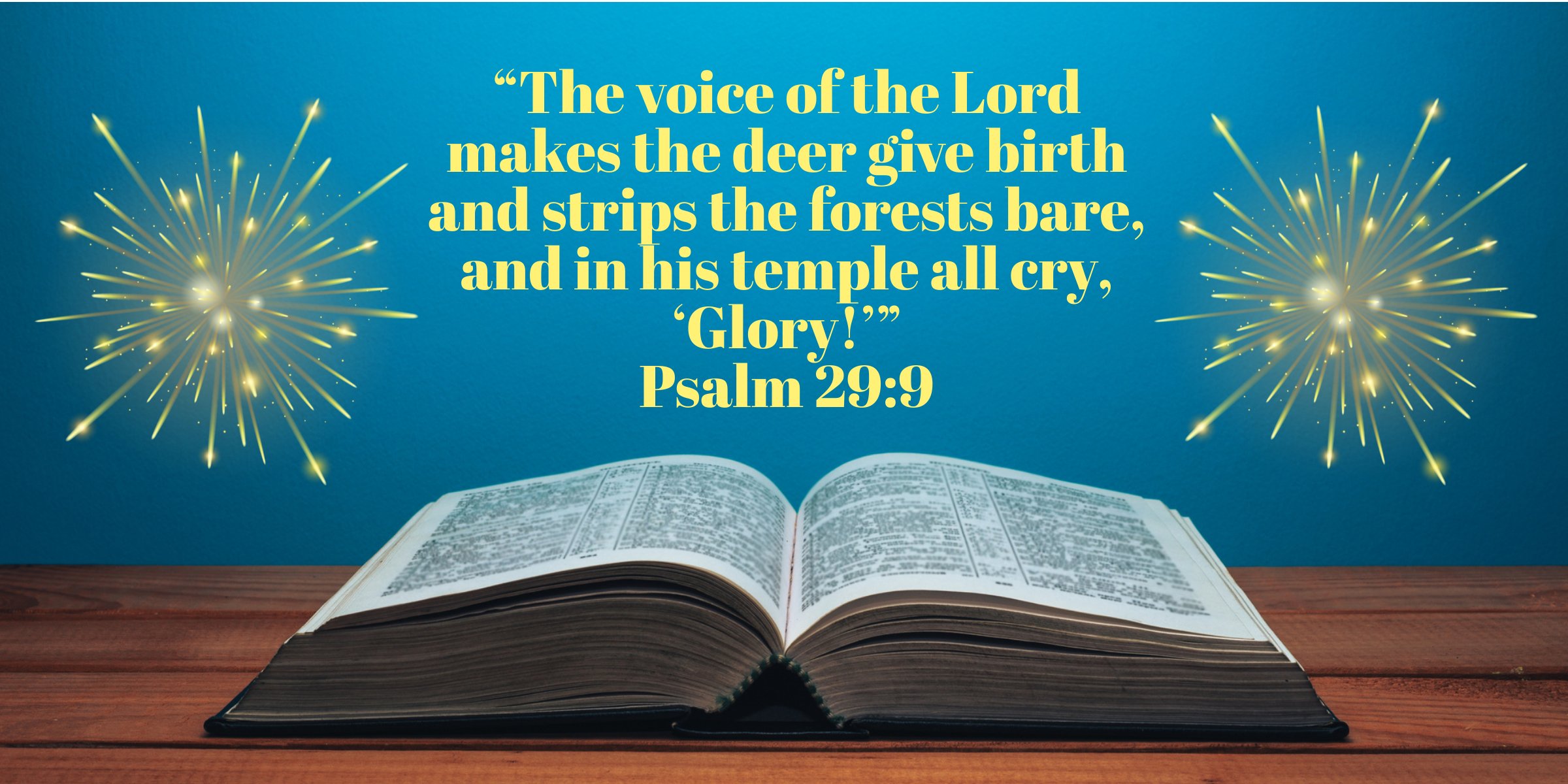 Happy New Year 2026! 