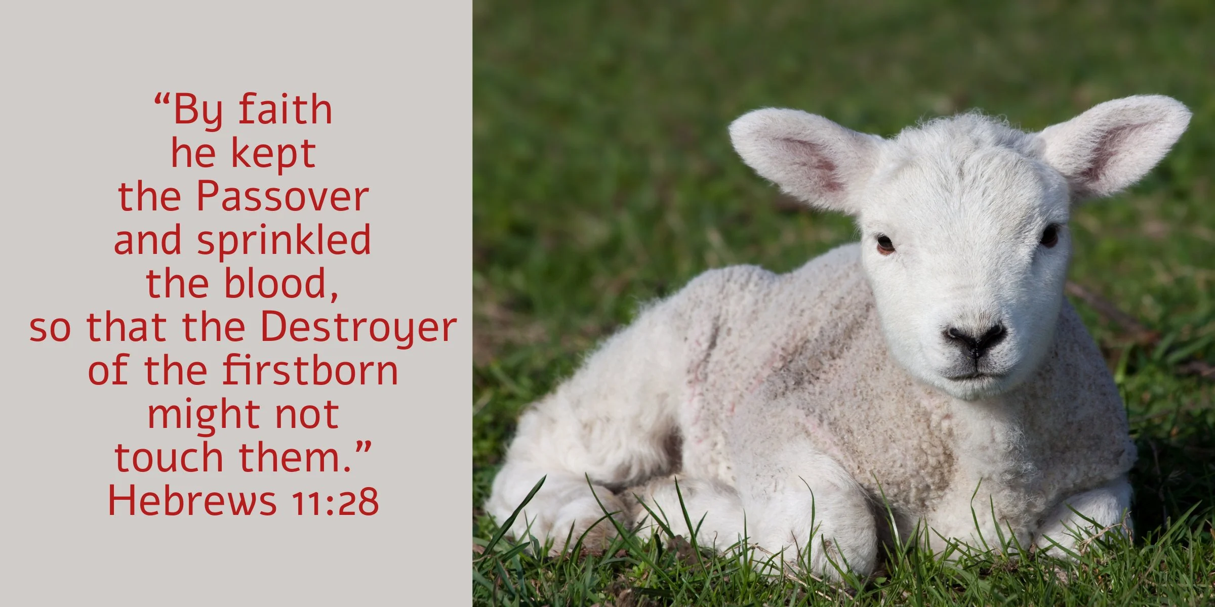 Good Friday Bible Study: The Lamb Slain