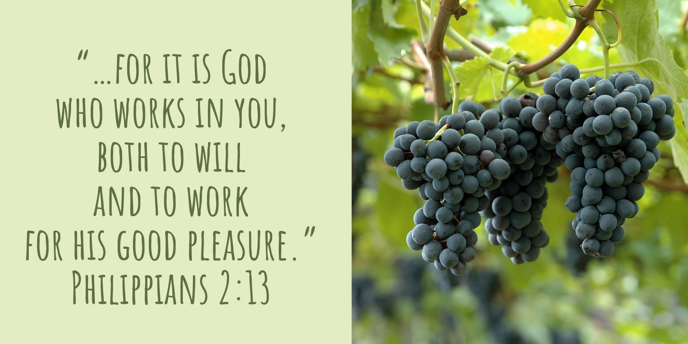 Futility To Fruitfulness