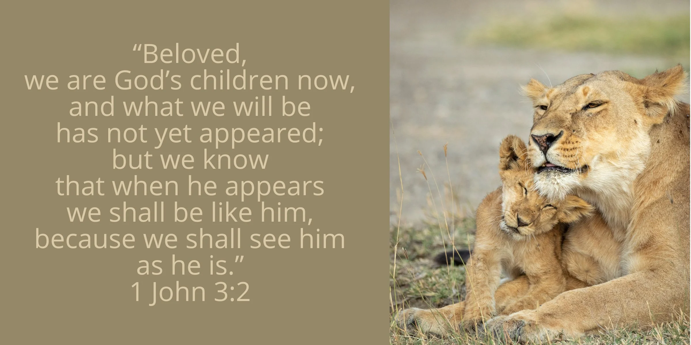 We Shall Be Like&nbsp;Him