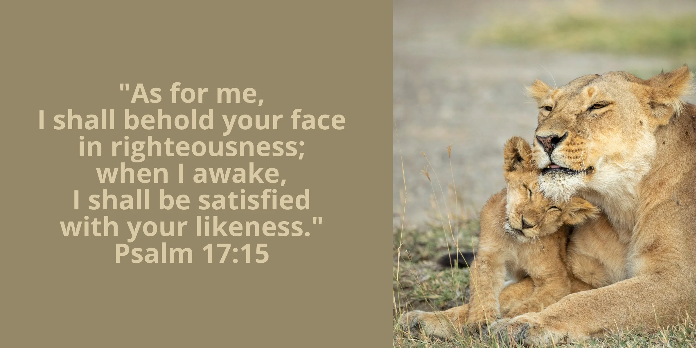 We Shall Be Like&nbsp;Him