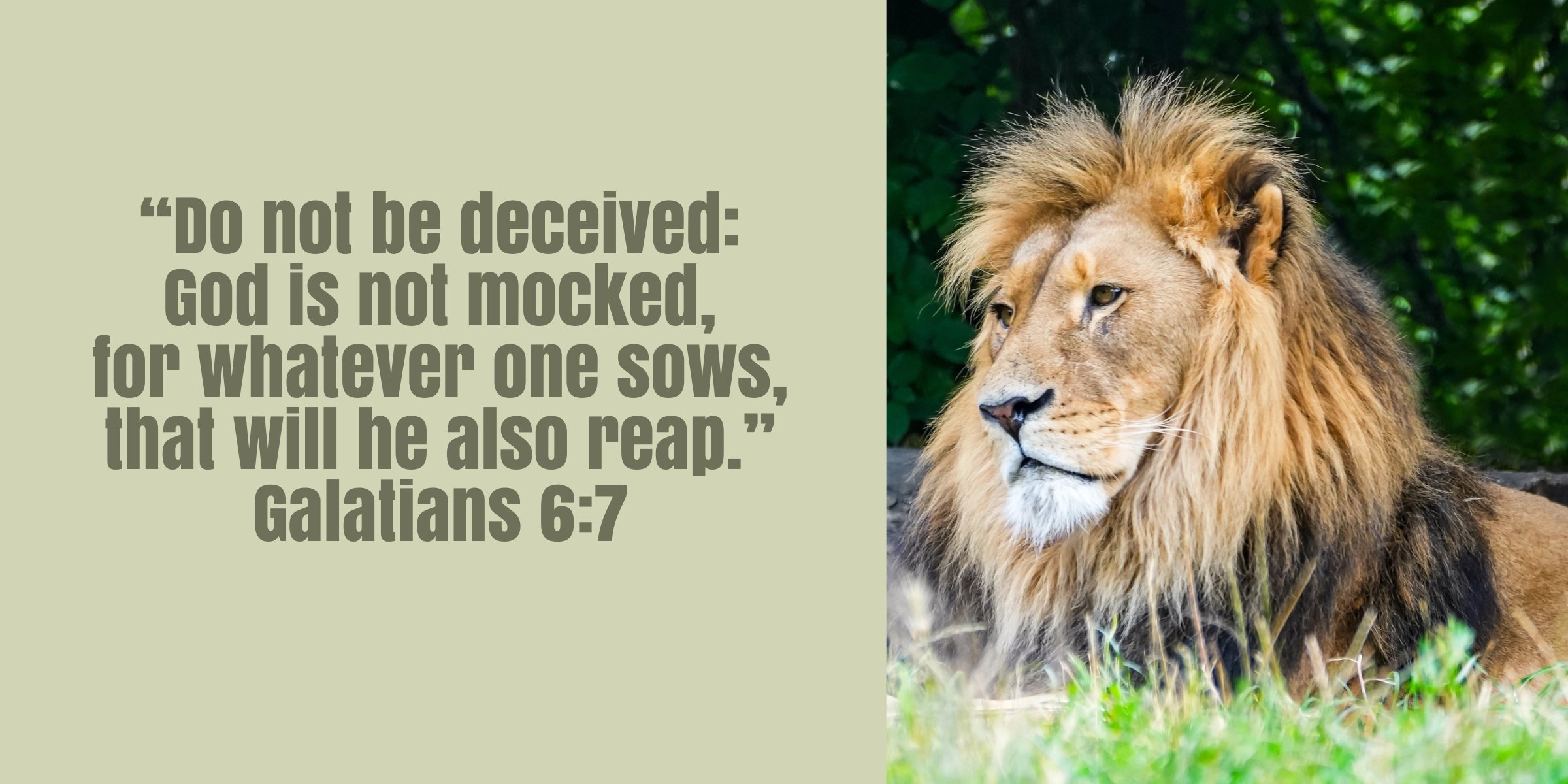 Lessons from Jeremiah 18: A Merciful God Who Will Not Be Mocked