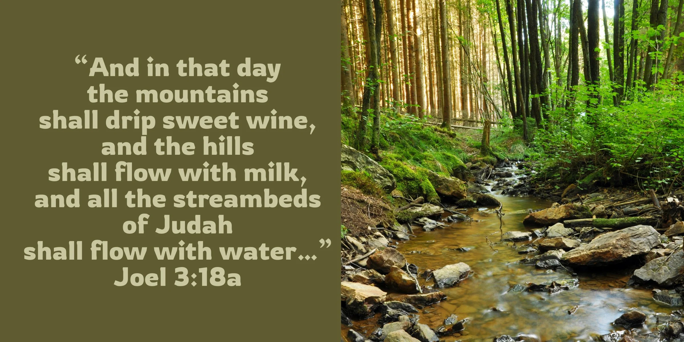 Don’t Muddy The Waters