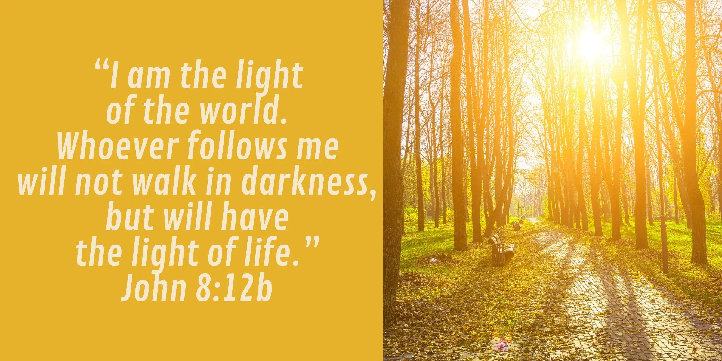 The Right Path