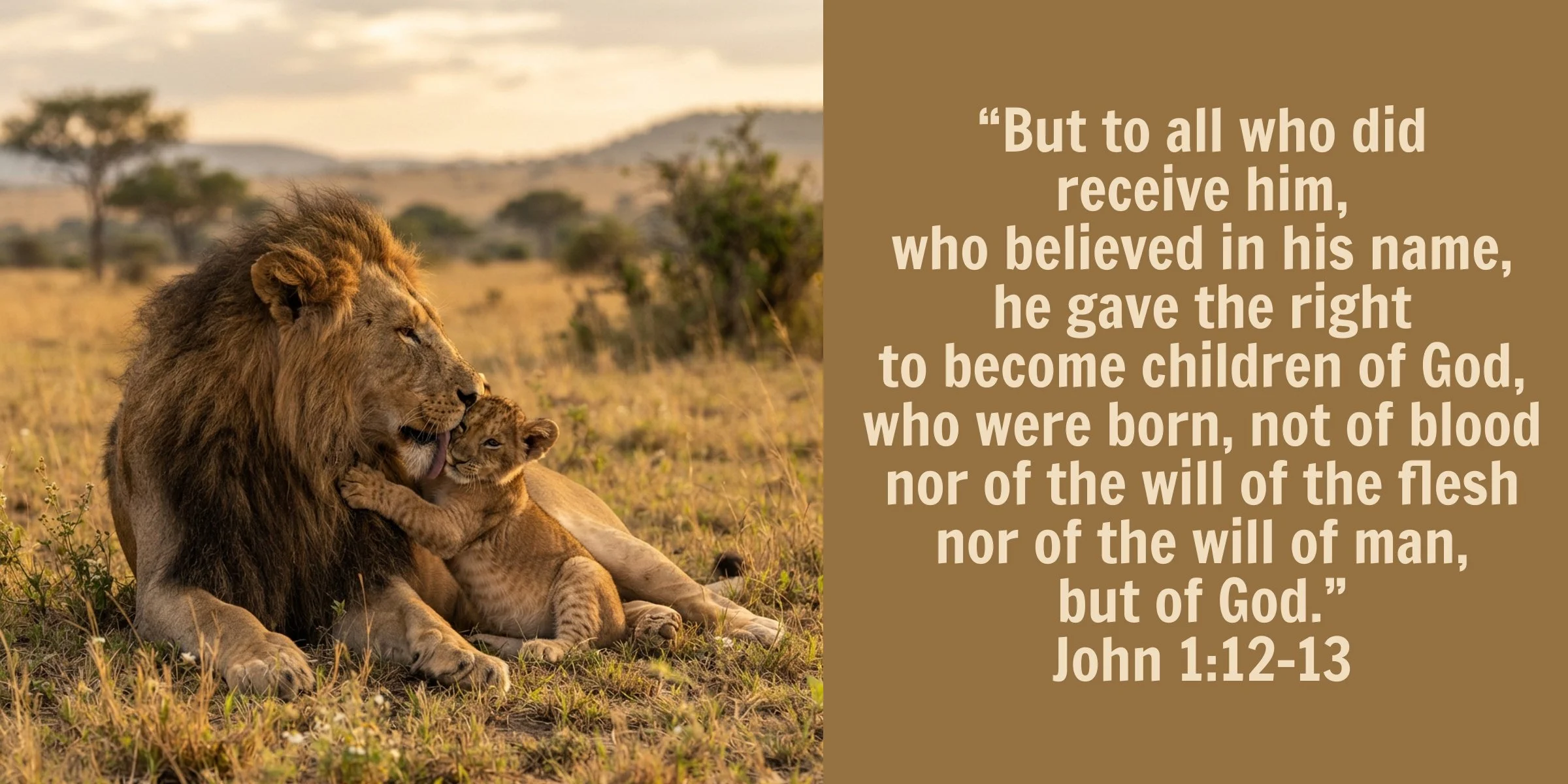 The Heart Of A&nbsp;Father