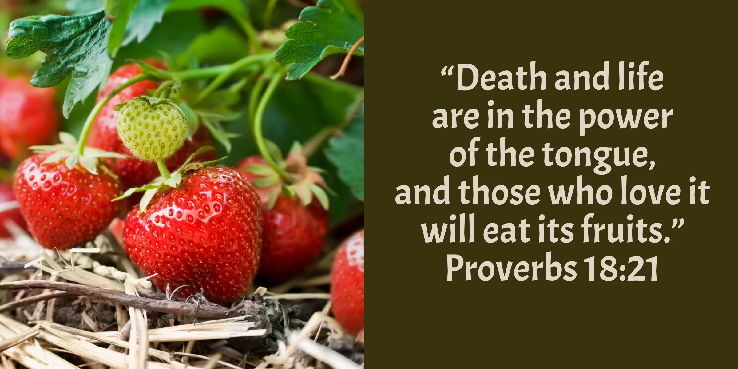Eating The Fruit