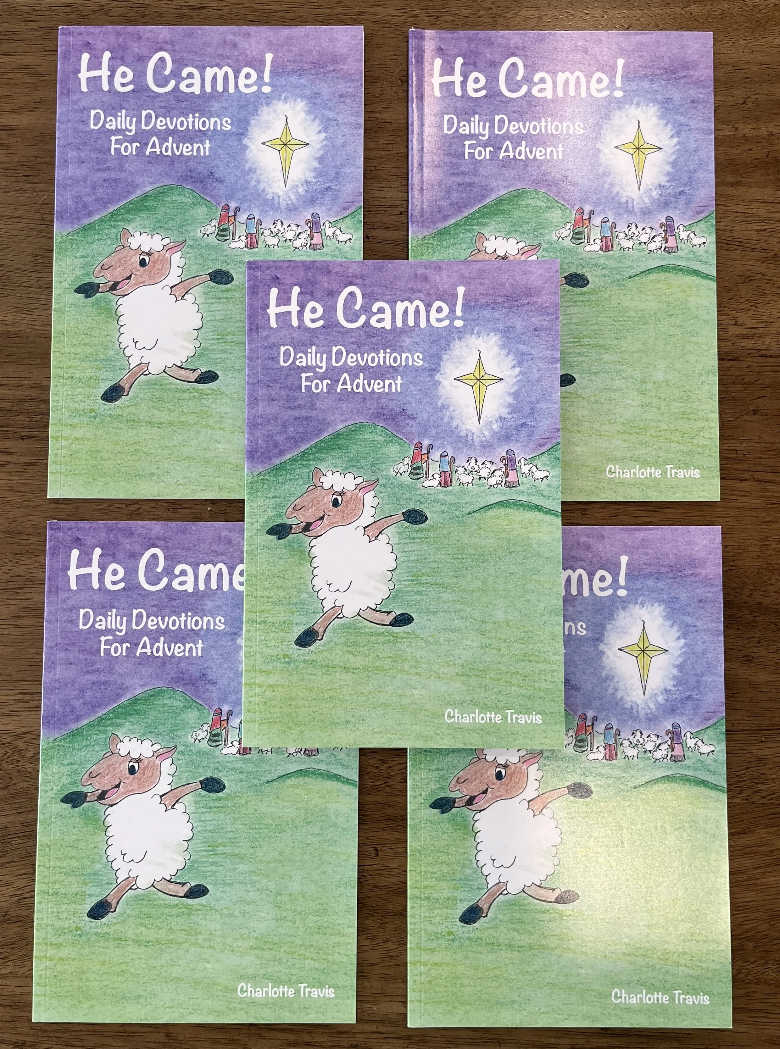 Bundle He Came.jpg