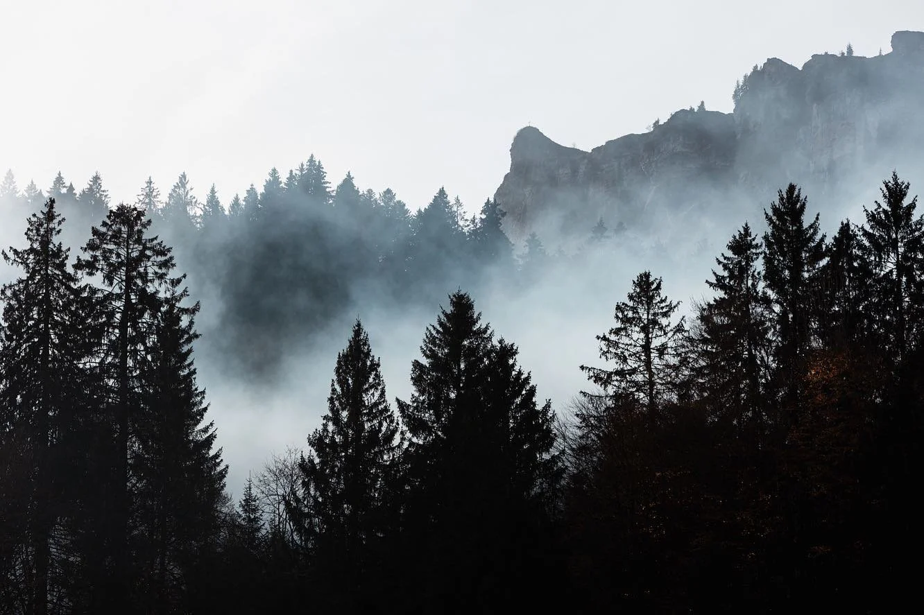 Afternoon and evening views from the balcony 🌲⛰