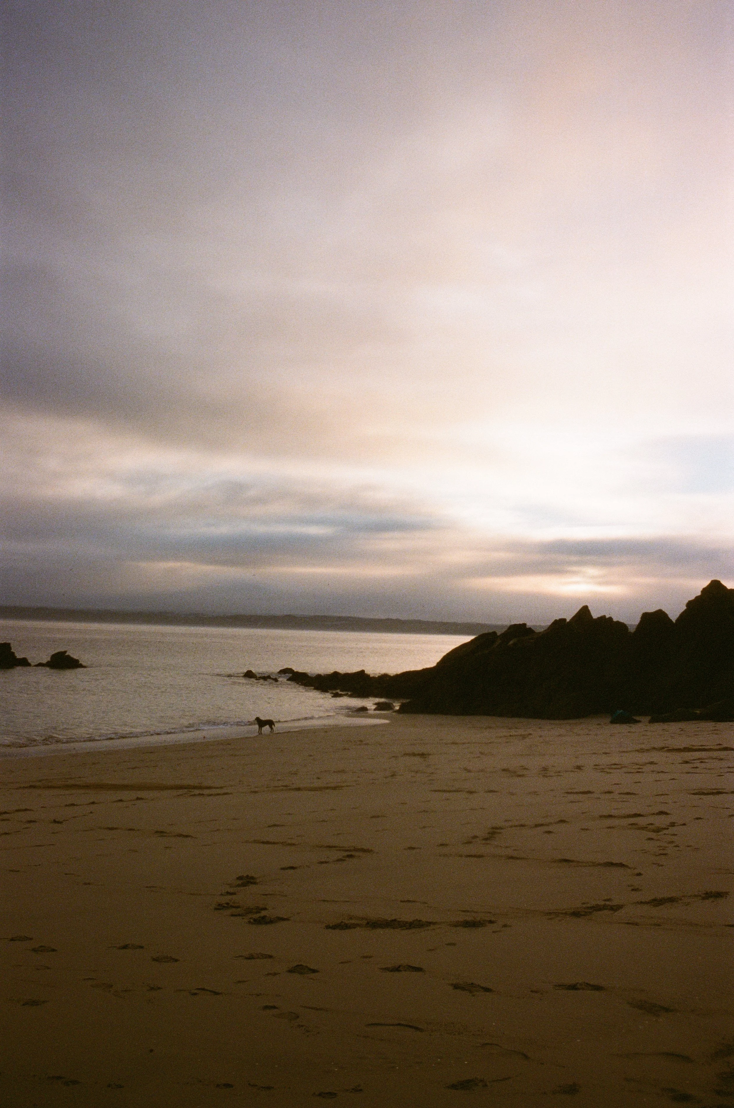 804254020005.jpg