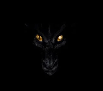 draconian wretch.jpg