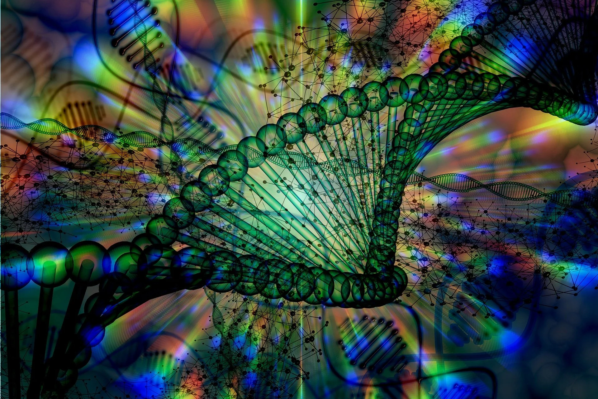 frequency of sound within.jpg