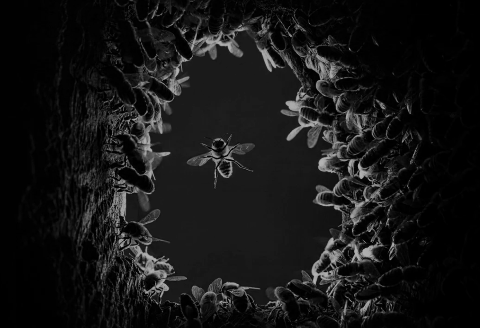 Screenshot 2025-08-07 at 8.55.27 PM.png