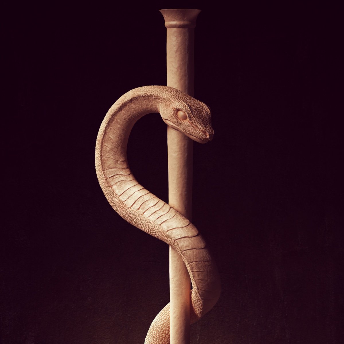 Born and Shaped 3.jpg