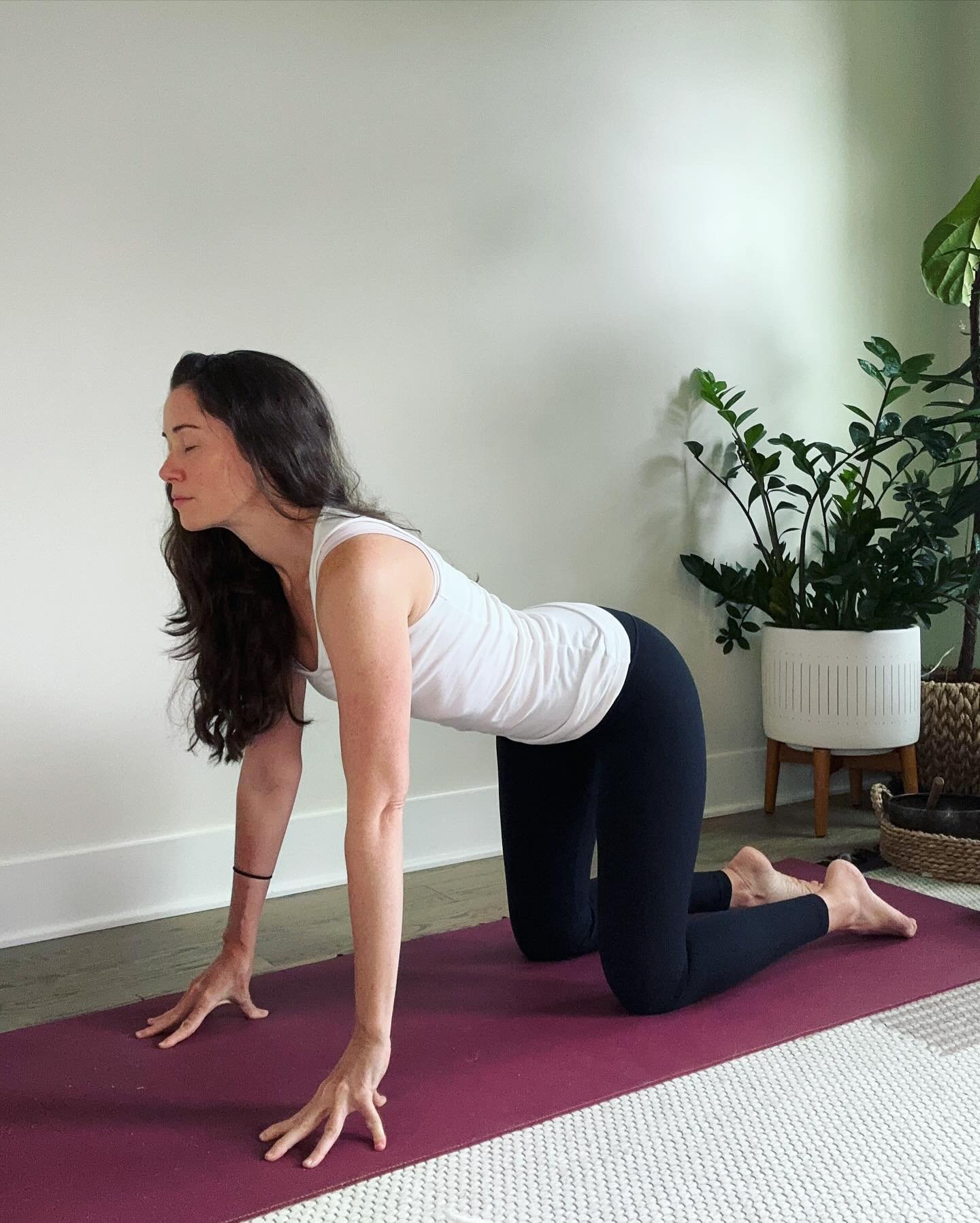 Cat/Cow may be one of my absolute favorite poses. Simple yet effective for stretching the body. 

Do you have a favorite version? 

#yogaposes #yogaforeveryone #yogainspiration #yogateacher #yogaeveryday #yogalife #yogalove #yoga #yoganashville #yoga