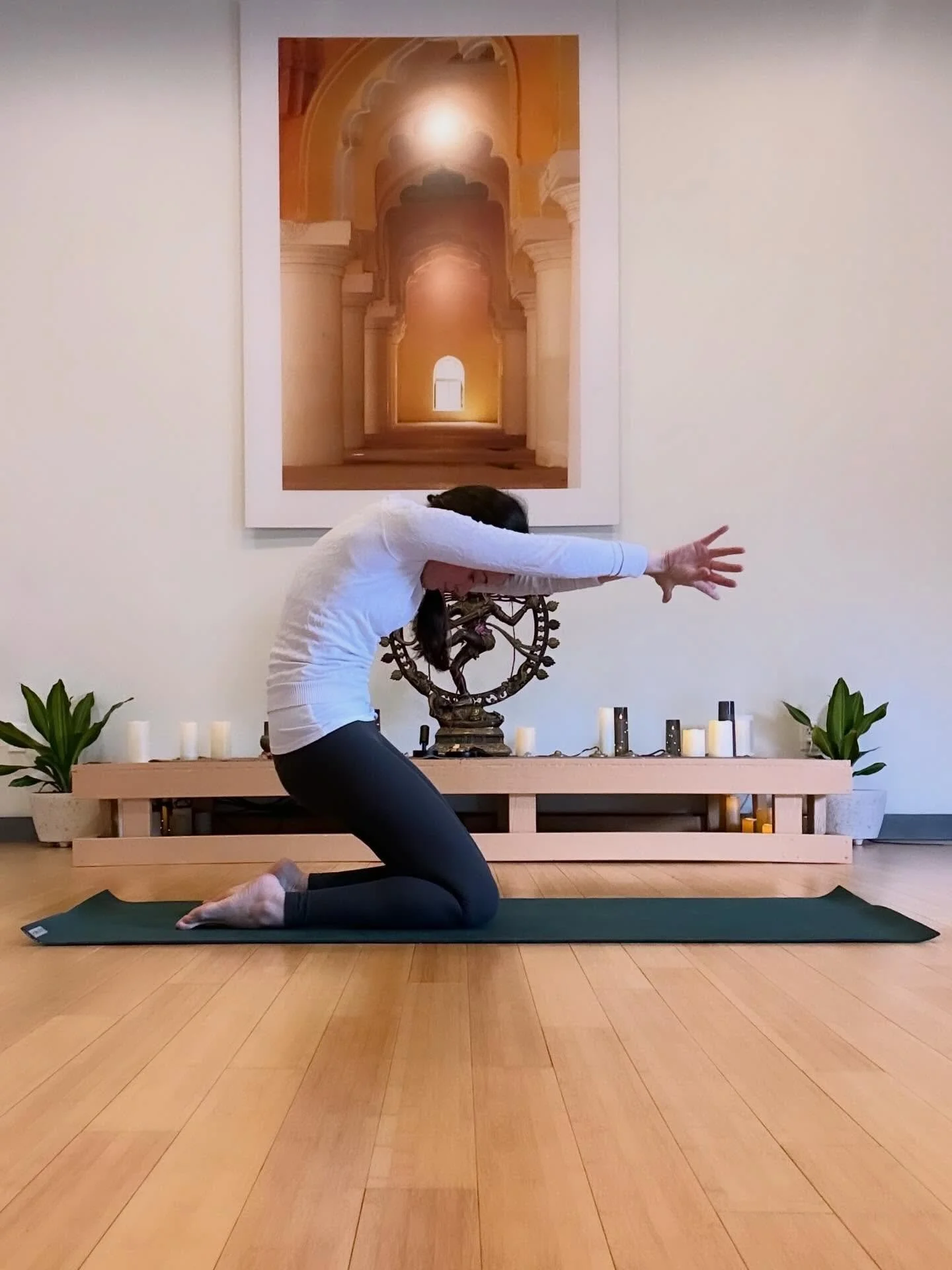 Inviting in all the deep blooms of springtime in my classes TOMORROW. Join virtually or in-person! 

8:30-9:15am Align &amp; Nidra
9:30-10:45a Align &amp; Strengthen

@yogamechanics 

#yogaforeveryone #virtualyogaclass #onlineyoga #yogainspiration #y