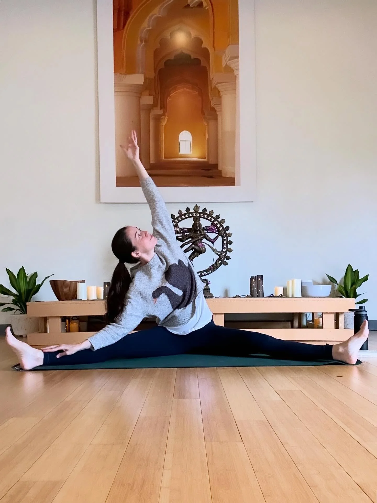 Align &amp; Flow 
Tonight 6-7:15pm
@yogamechanics 

Join In-Person or Virtually!