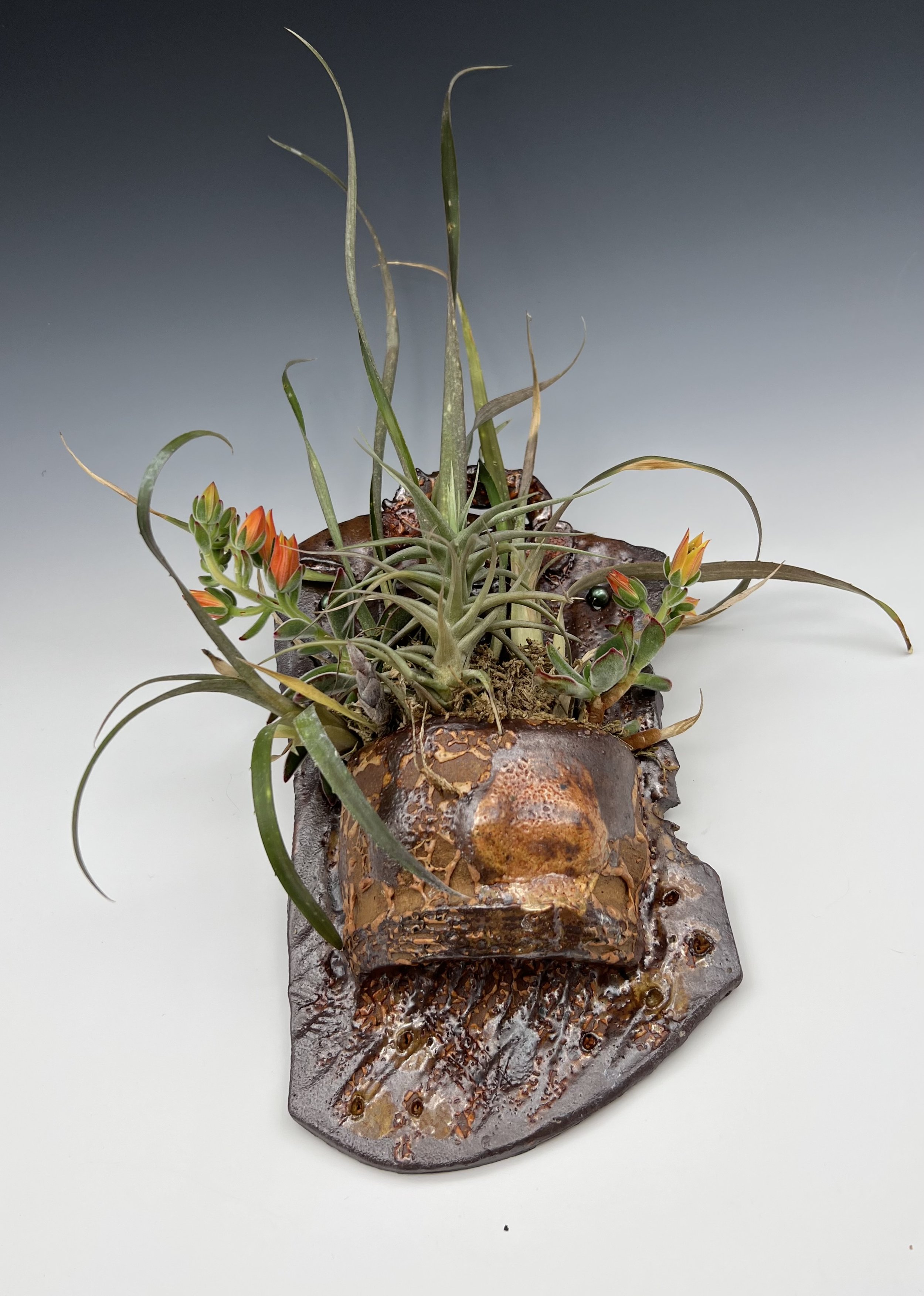 Wall pocket ceramic planter (Copy)