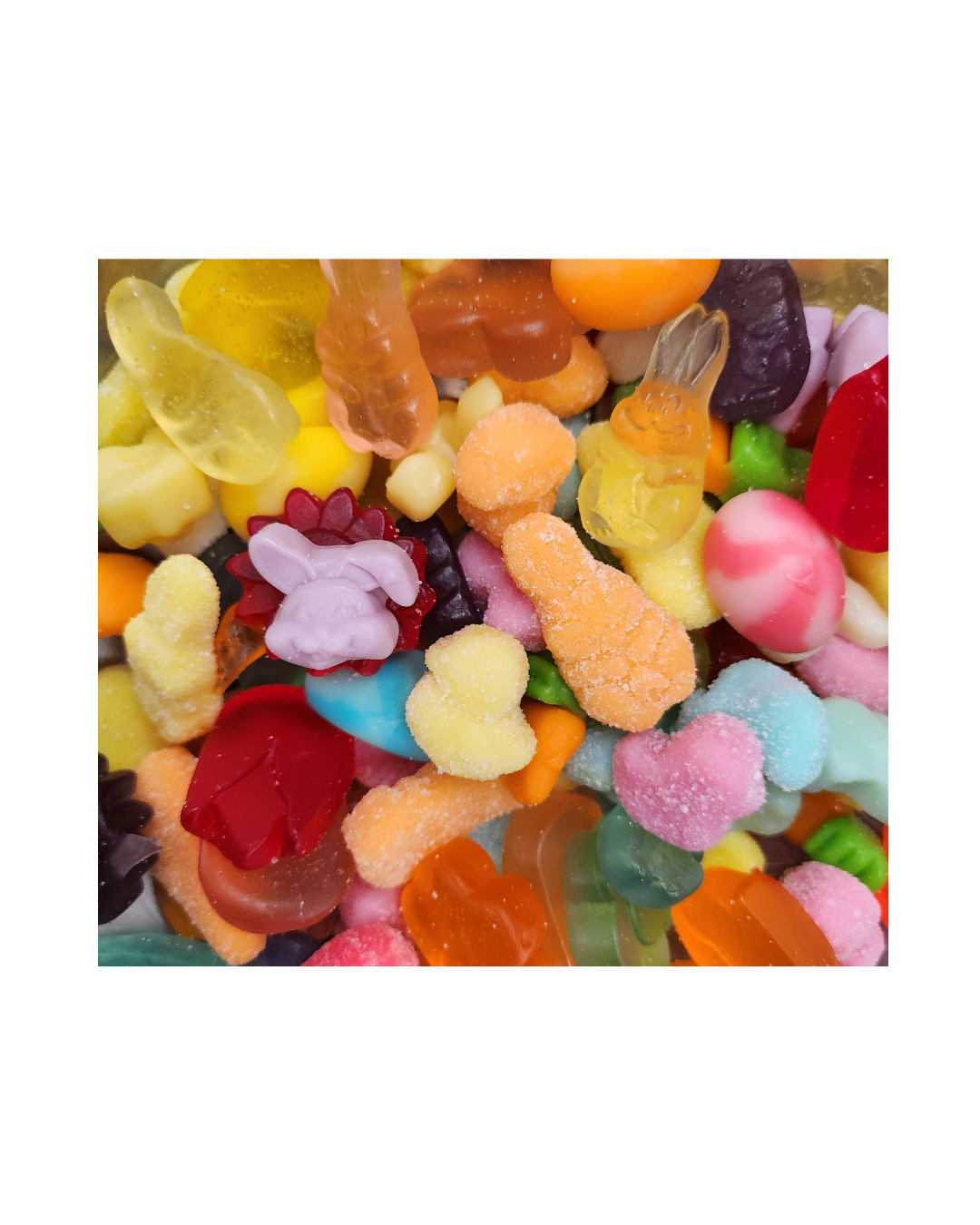 Untitled design - 2026-02-19T161619.360.png