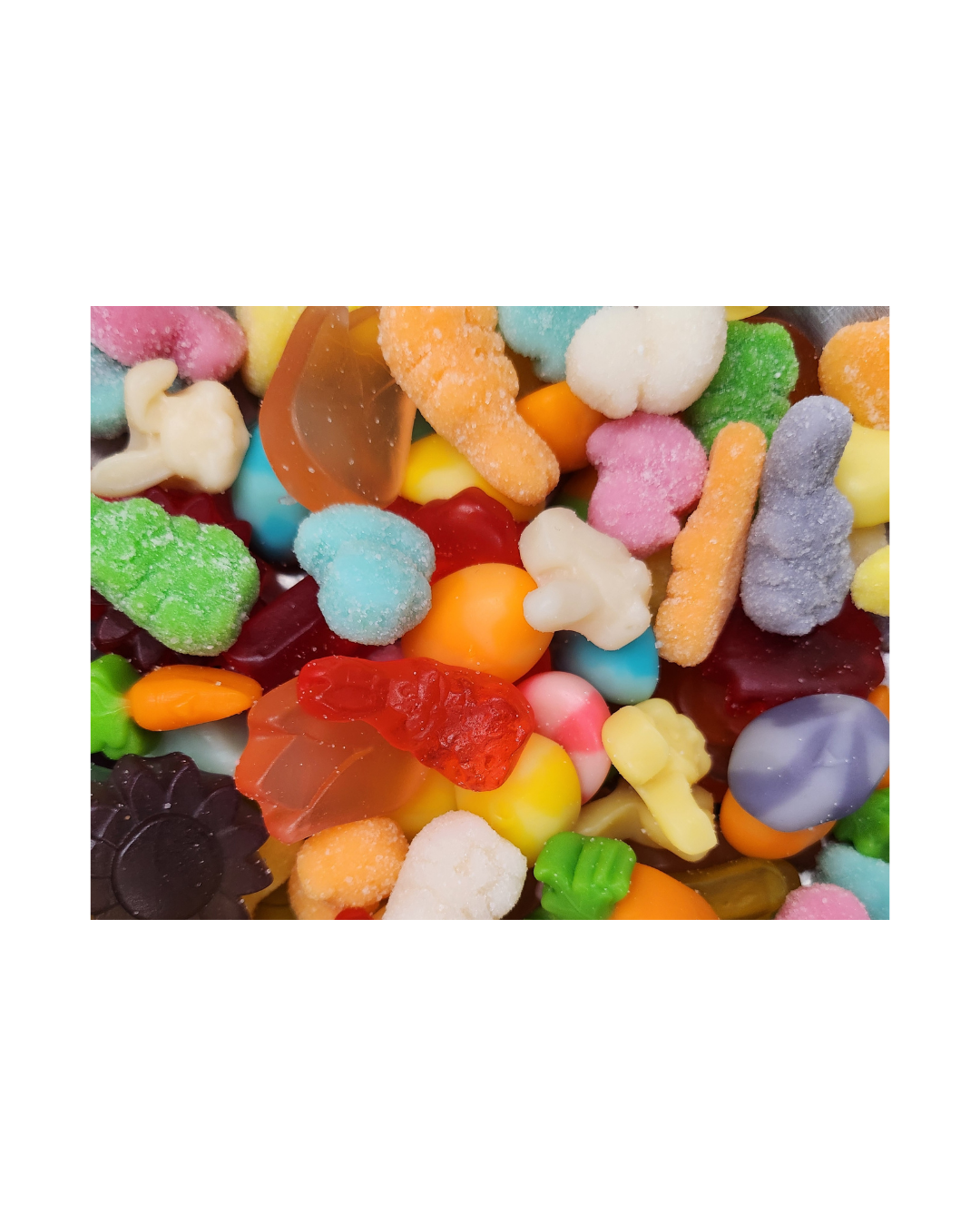 Untitled design - 2026-02-19T161552.593.png