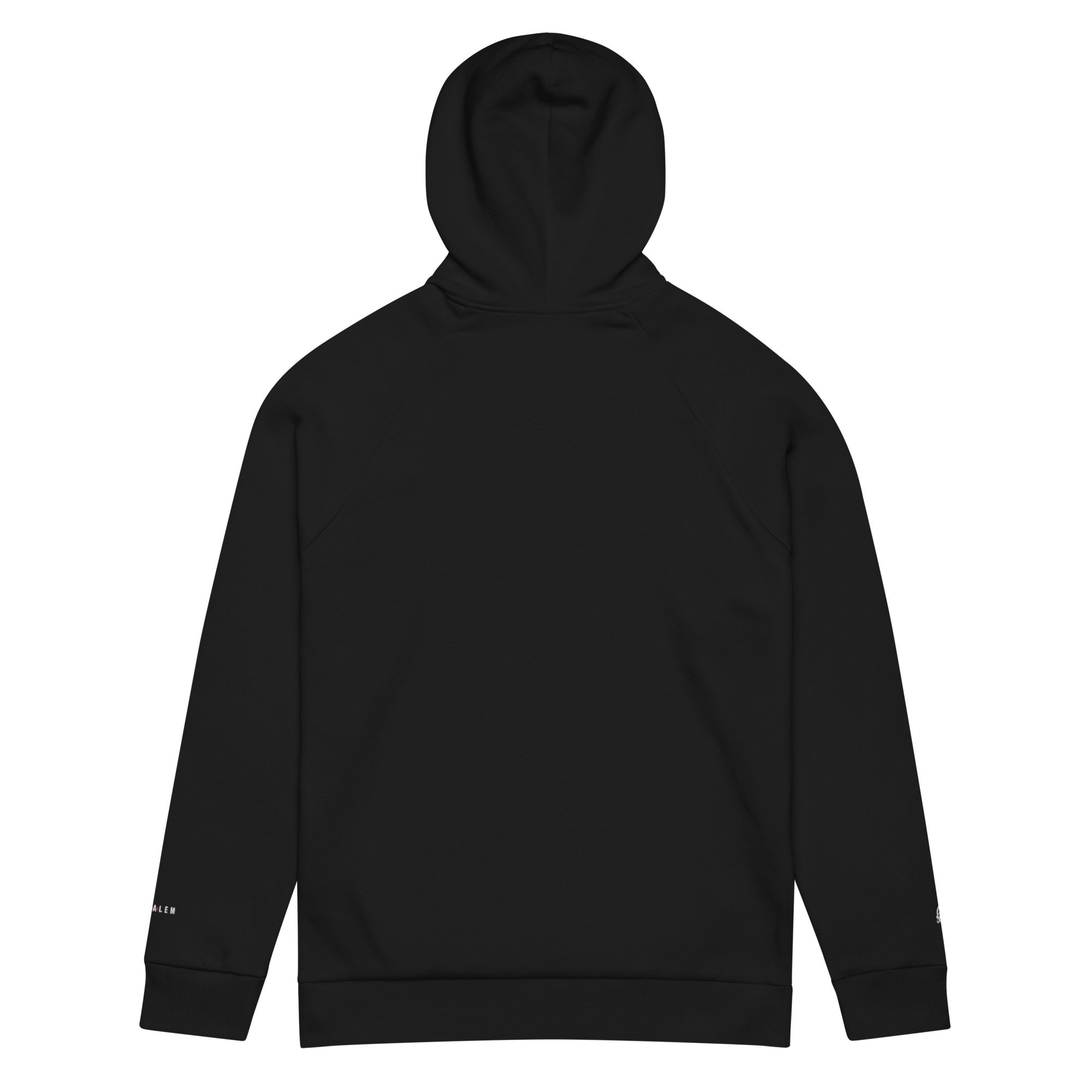 under-armour-hoodie-black-back-66c63954f3196.jpg