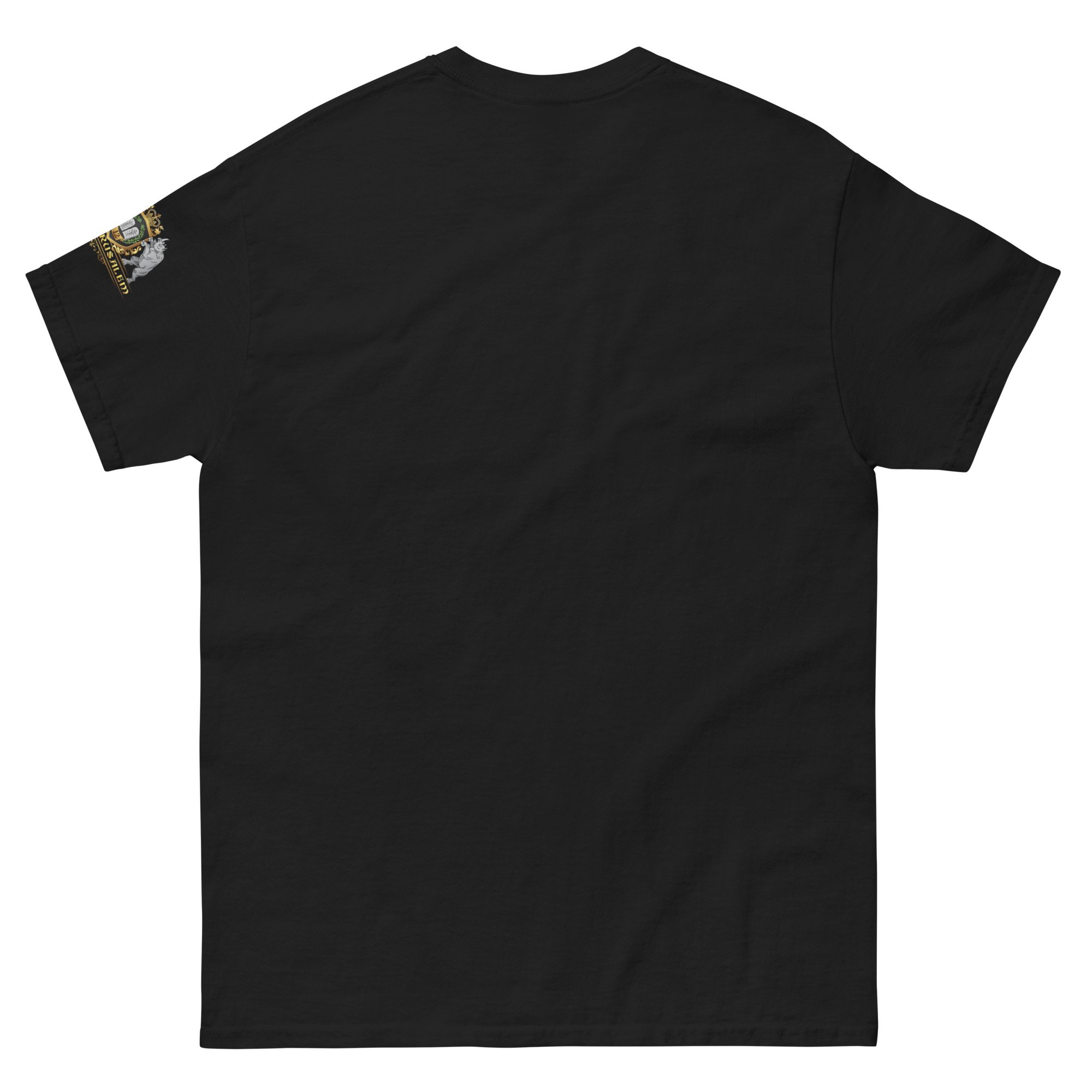 unisex-classic-tee-black-back-66c64a7caaa5b.jpg