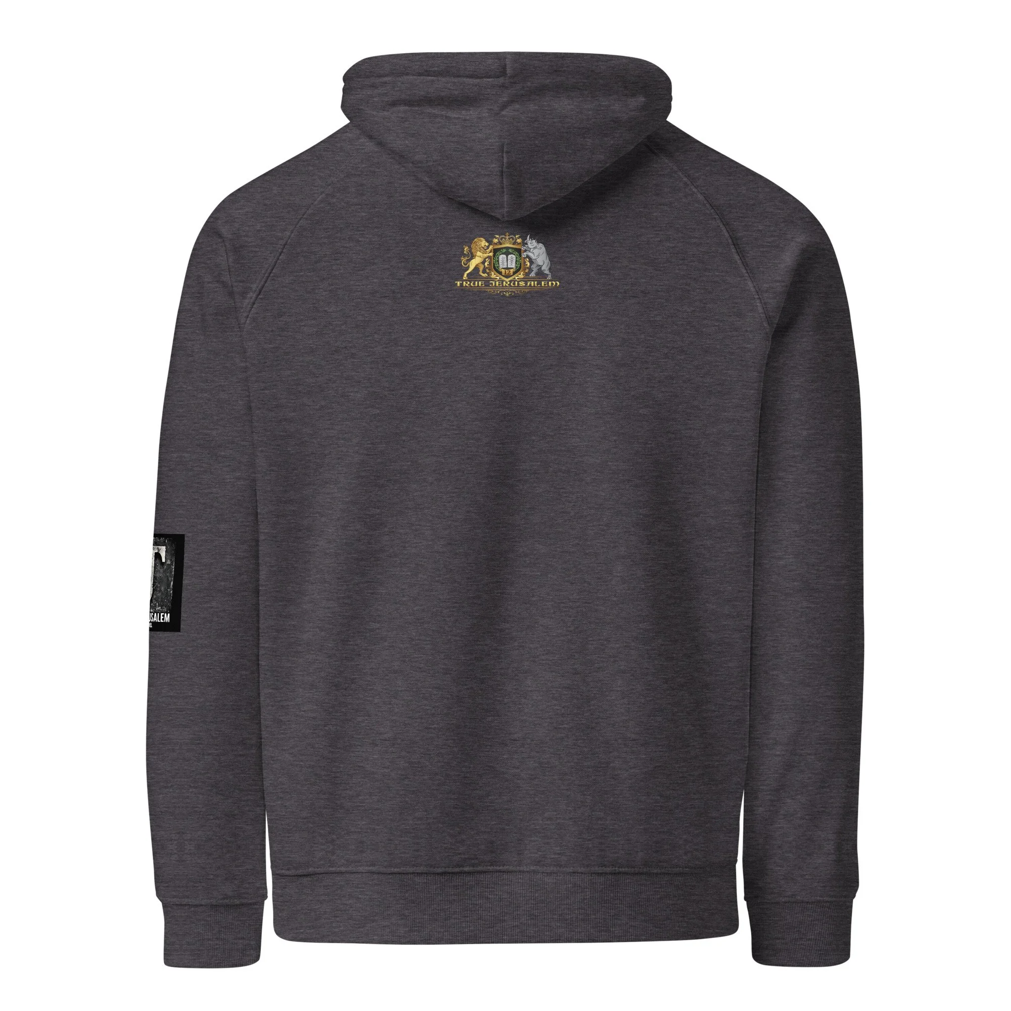 unisex-eco-raglan-hoodie-charcoal-melange-back-670cdeb865ca6.jpg