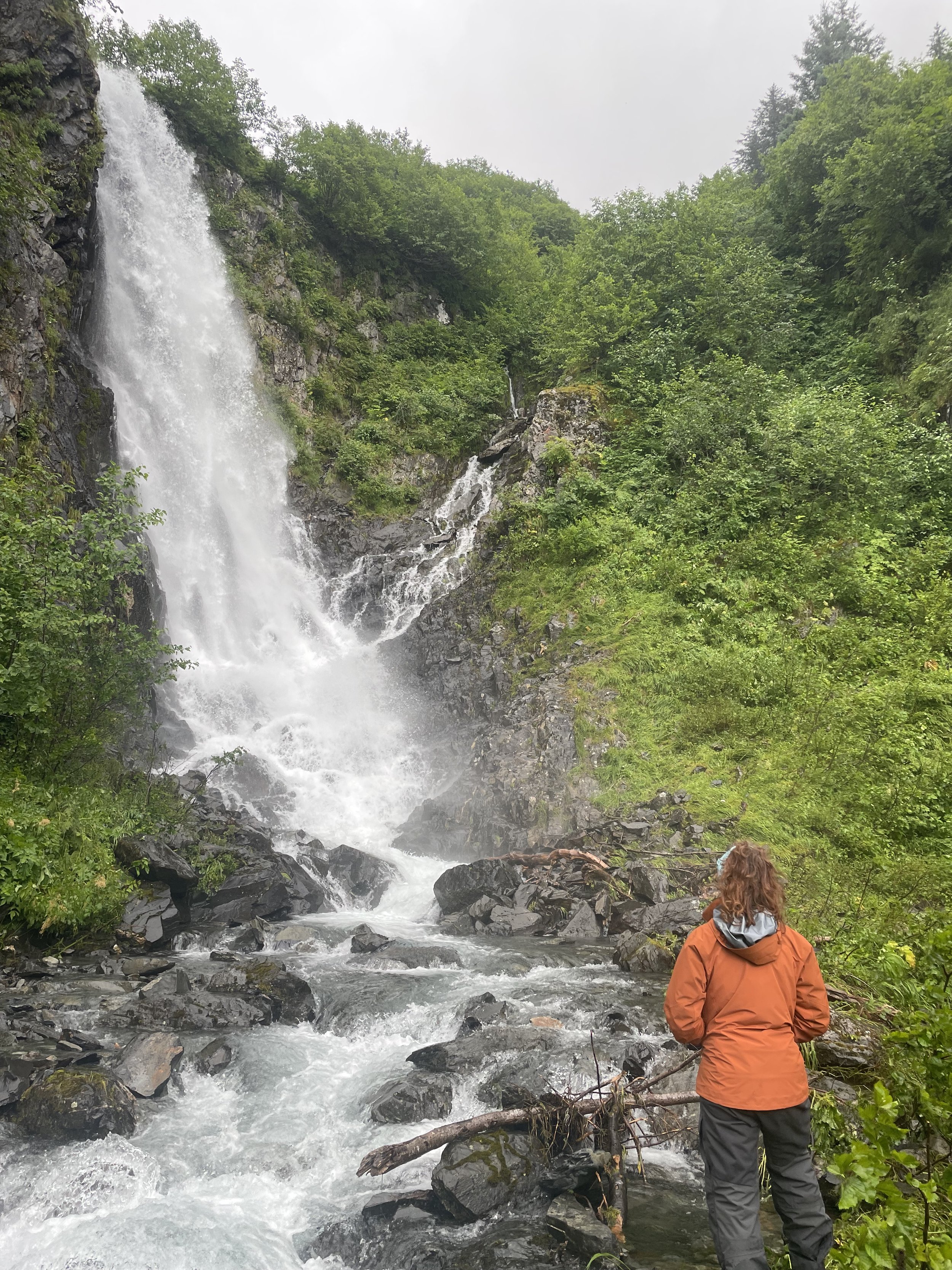Person looking at waterfall in a remote, forested area