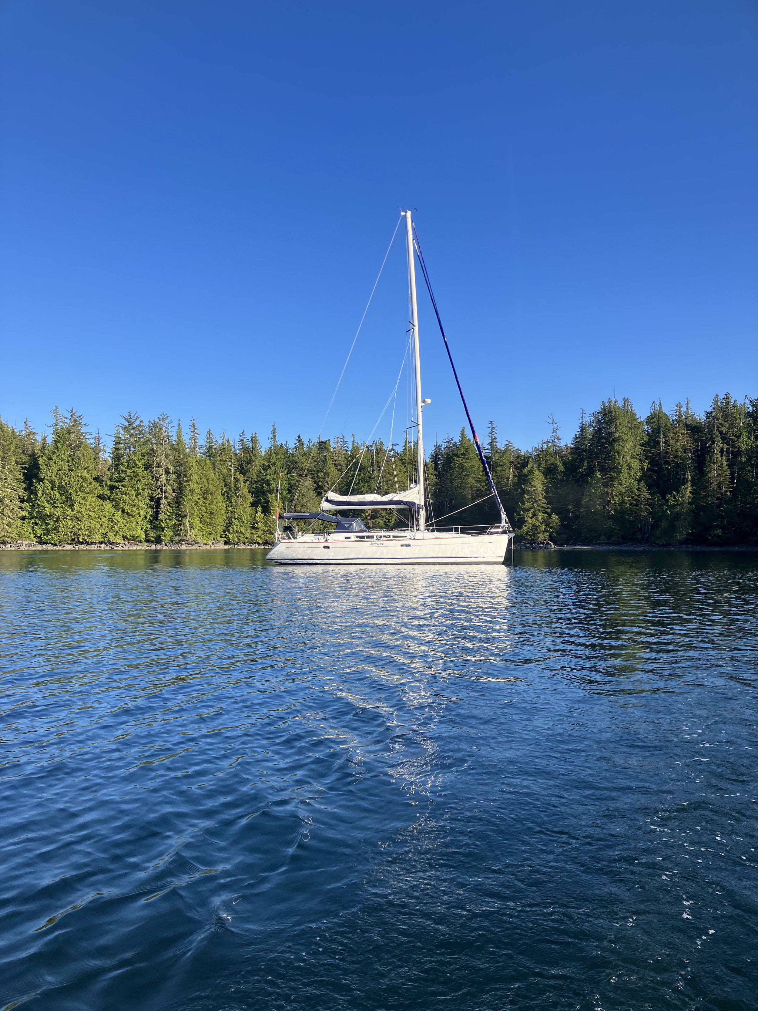 Sailboat on calm water with forest backdrop under clear blue sky.