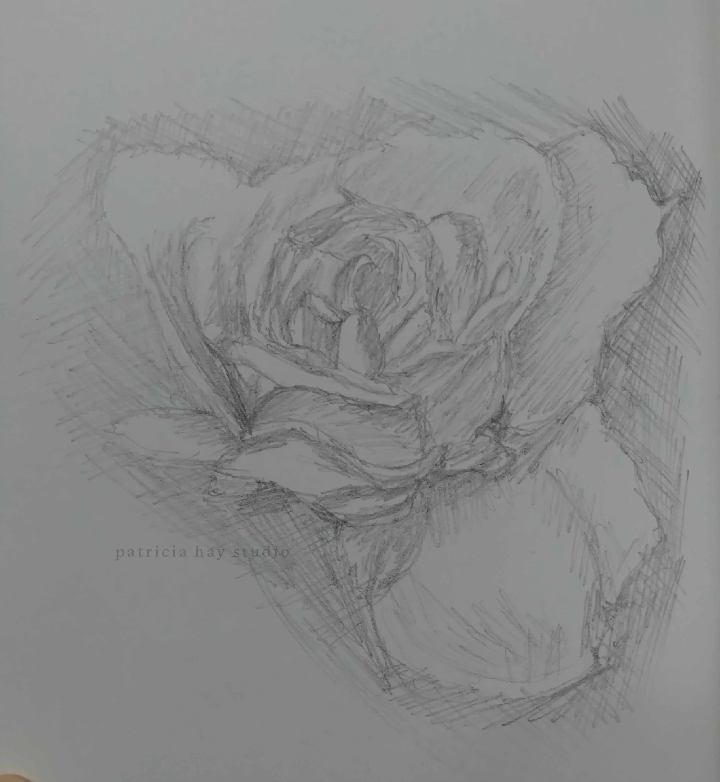 Graphite & Charcoal