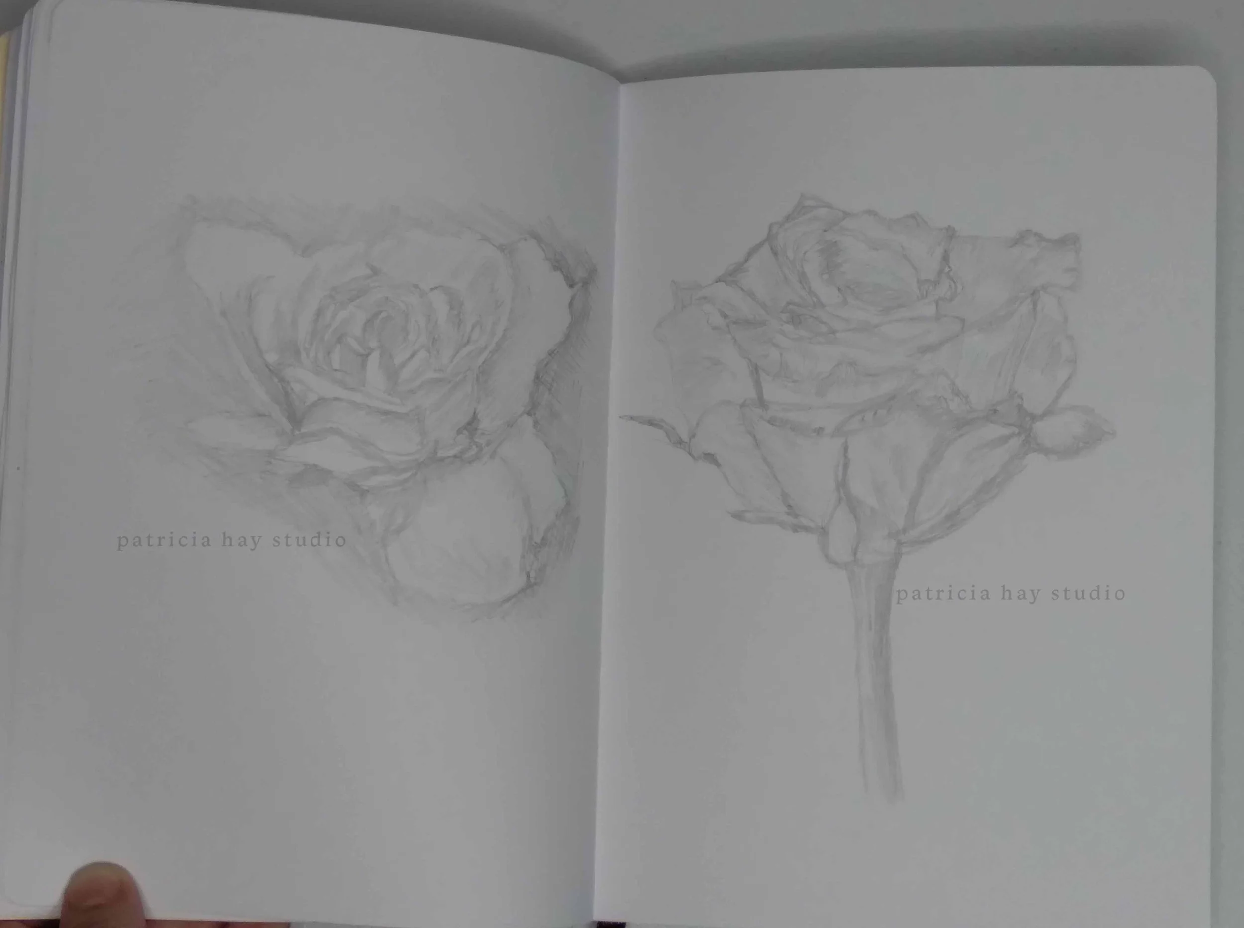 roseswatermark.jpg