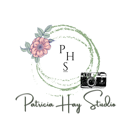 Patricia Hay Studio