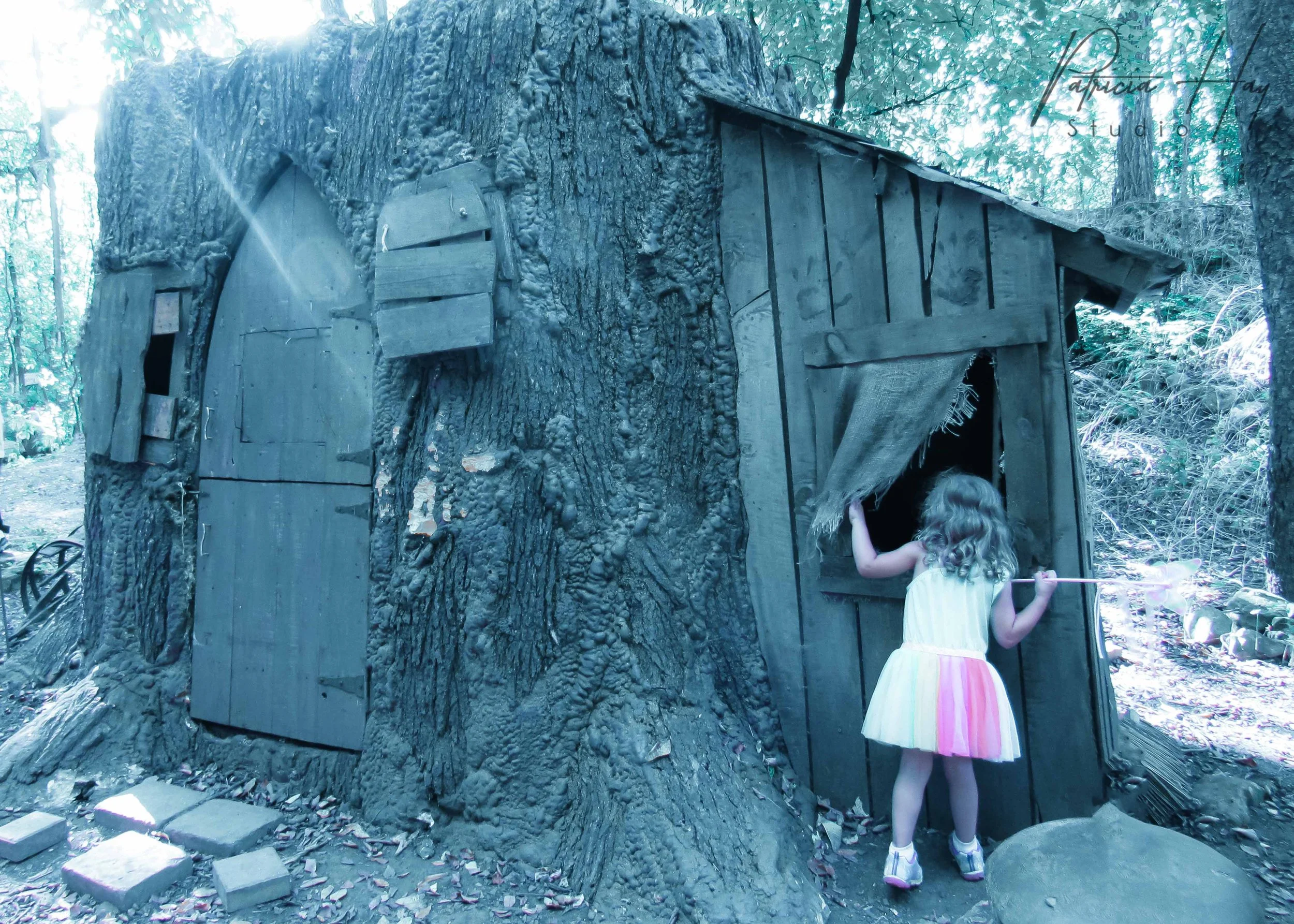 girl looking into house.jpg