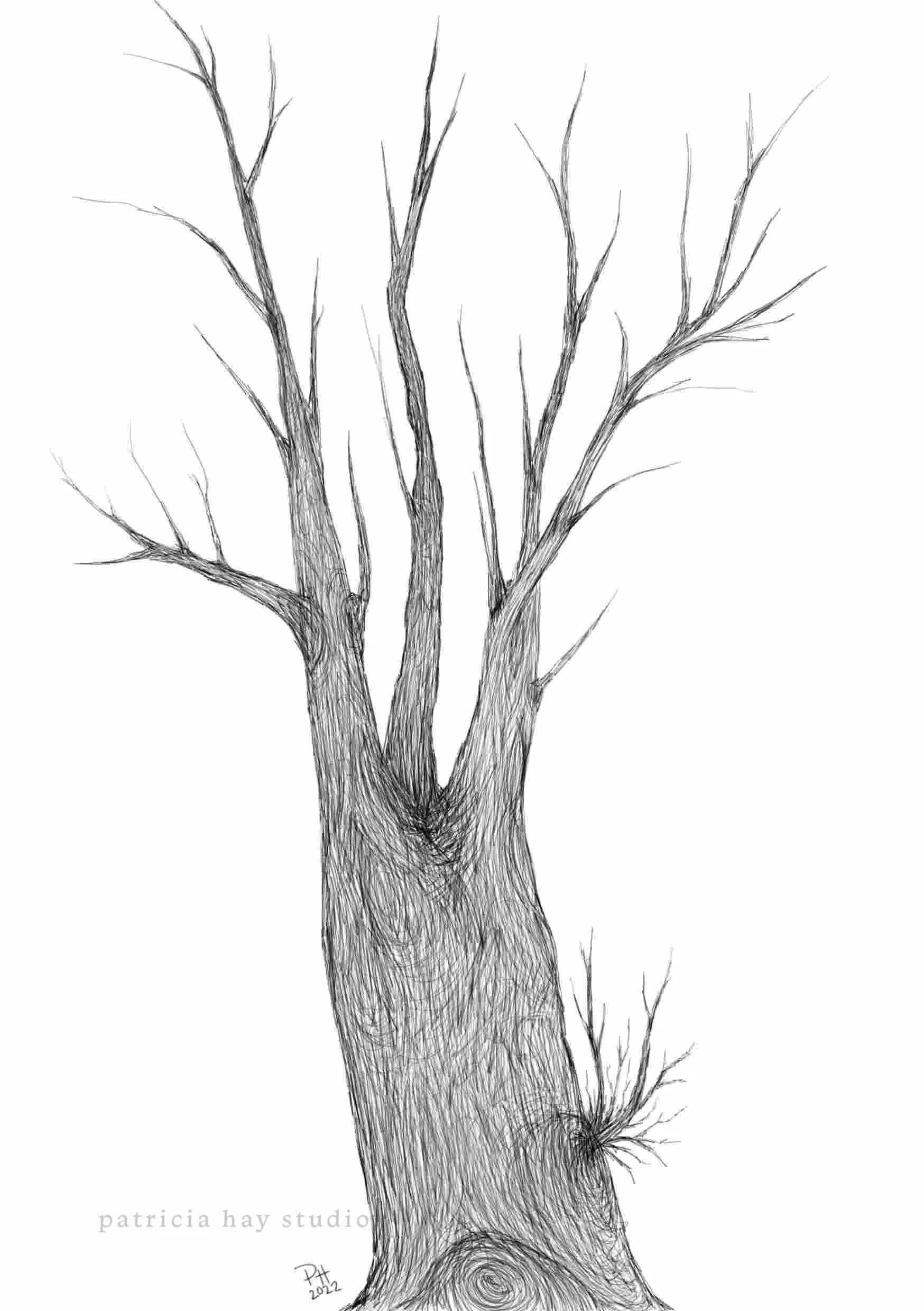 tree watermark.jpg